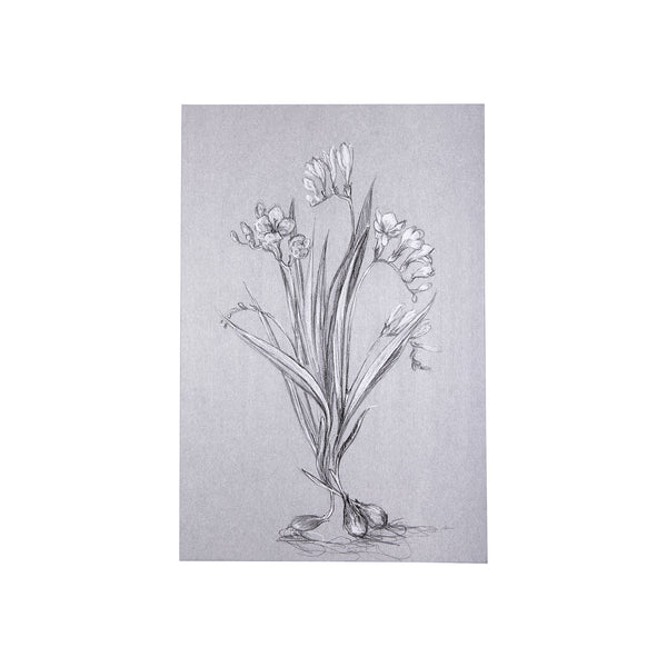 Botanical sketches III (Grey) by Mercana Studio a Hand Embellished Textured Canvas