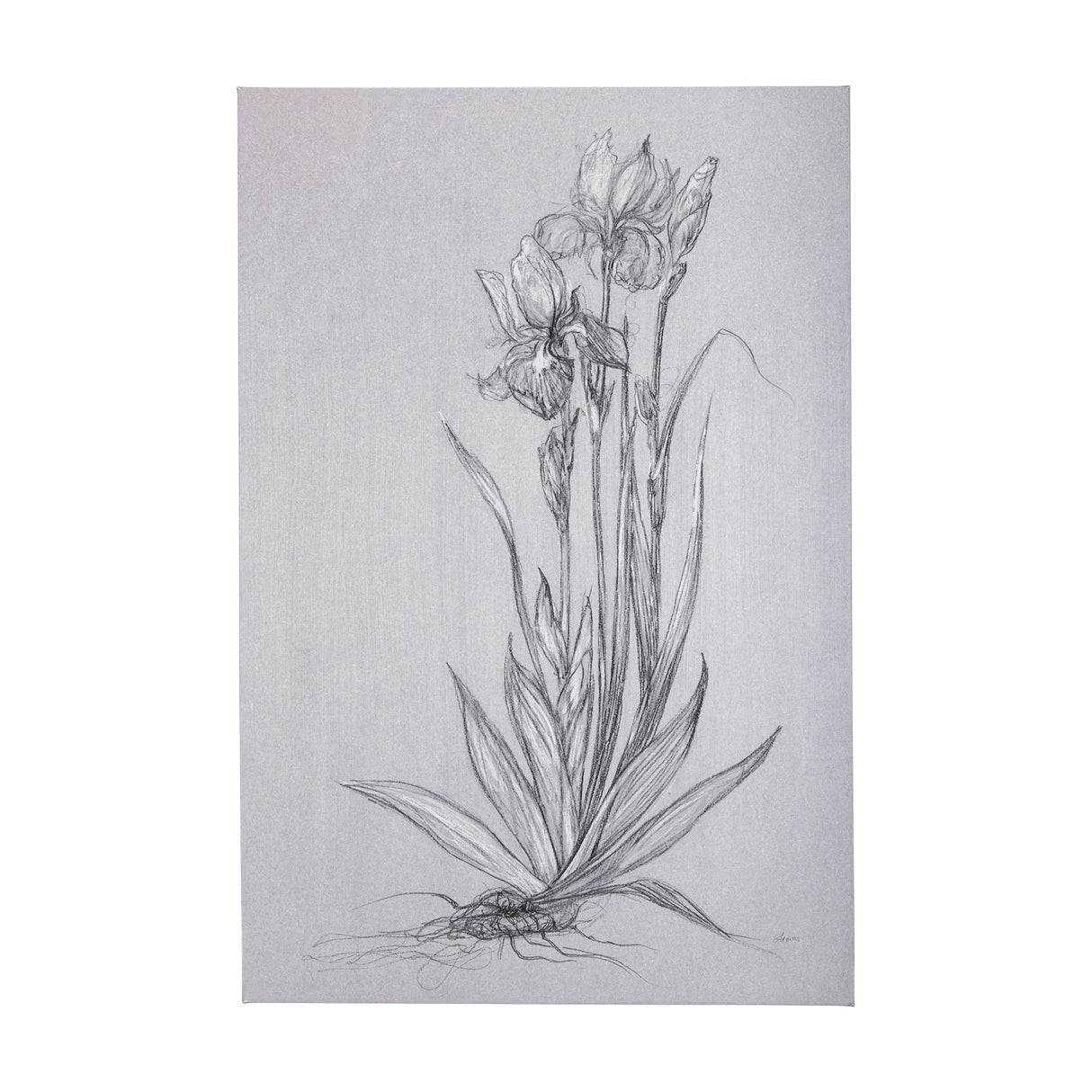 Botanical sketches IV (Grey) by Mercana Studio a Hand Embellished Textured Canvas from Mercana - Luna Furniture