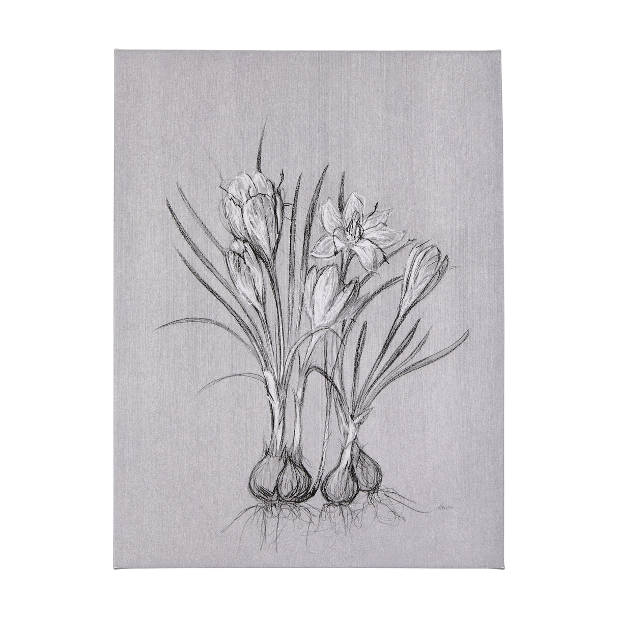 Botanical sketches V (Grey) by Mercana Studio a Hand Embellished Textured Canvas from Mercana - Luna Furniture