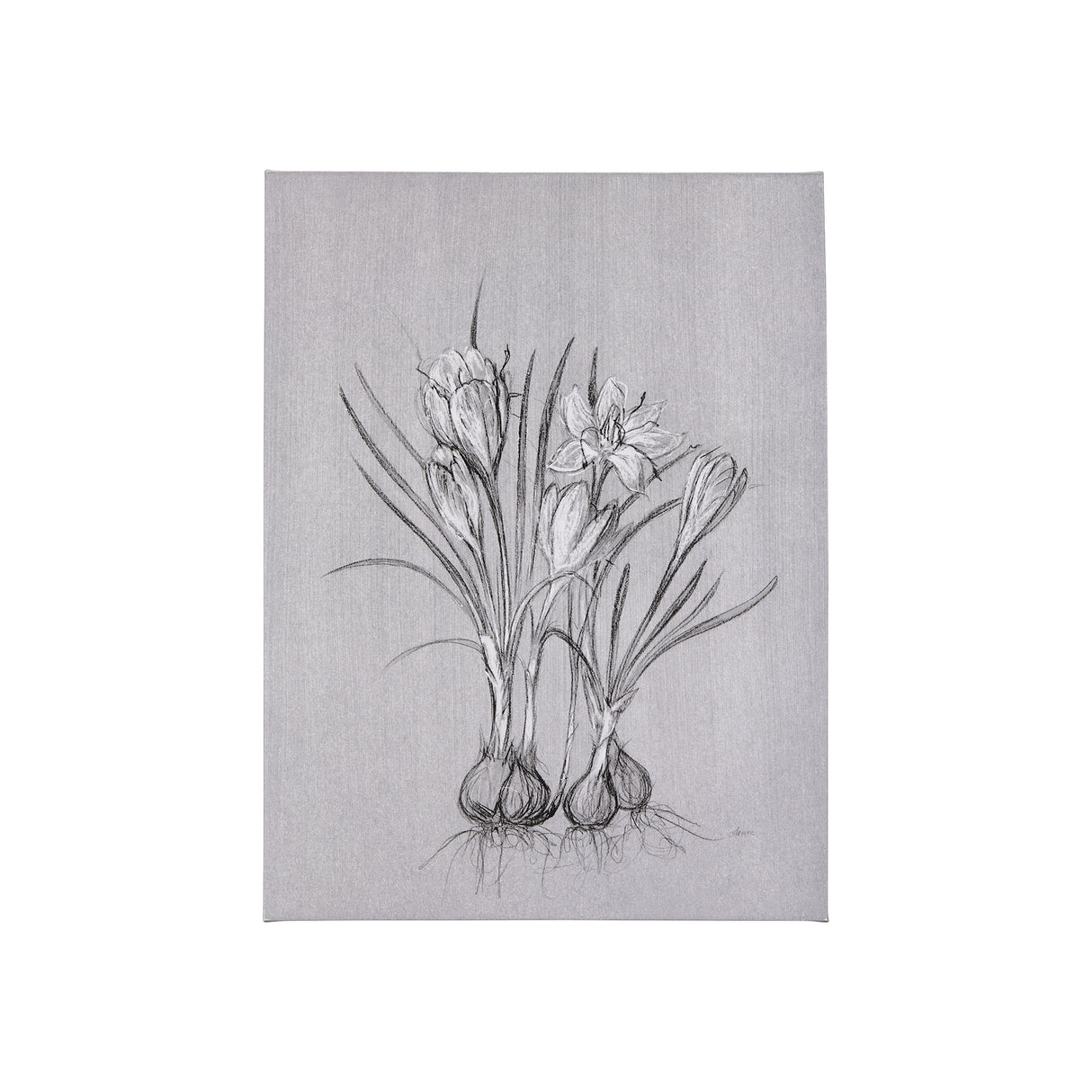 Botanical sketches V (Grey) by Mercana Studio a Hand Embellished Textured Canvas from Mercana - Luna Furniture