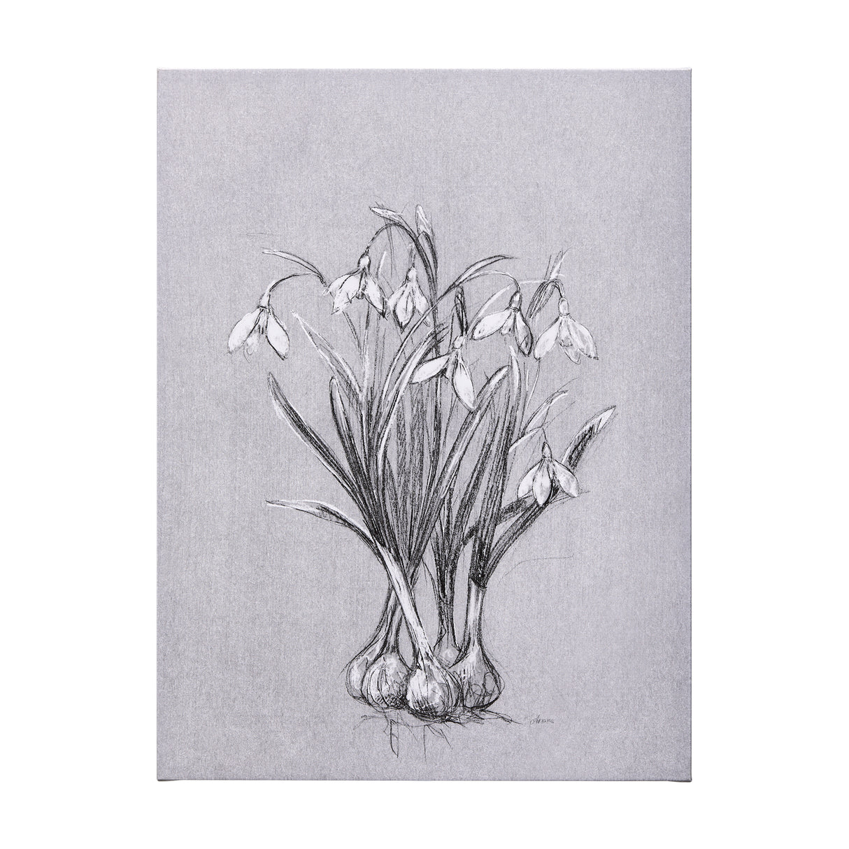 Botanical sketches VI (Grey) by Mercana Studio a Hand Embellished Textured Canvas from Mercana - Luna Furniture