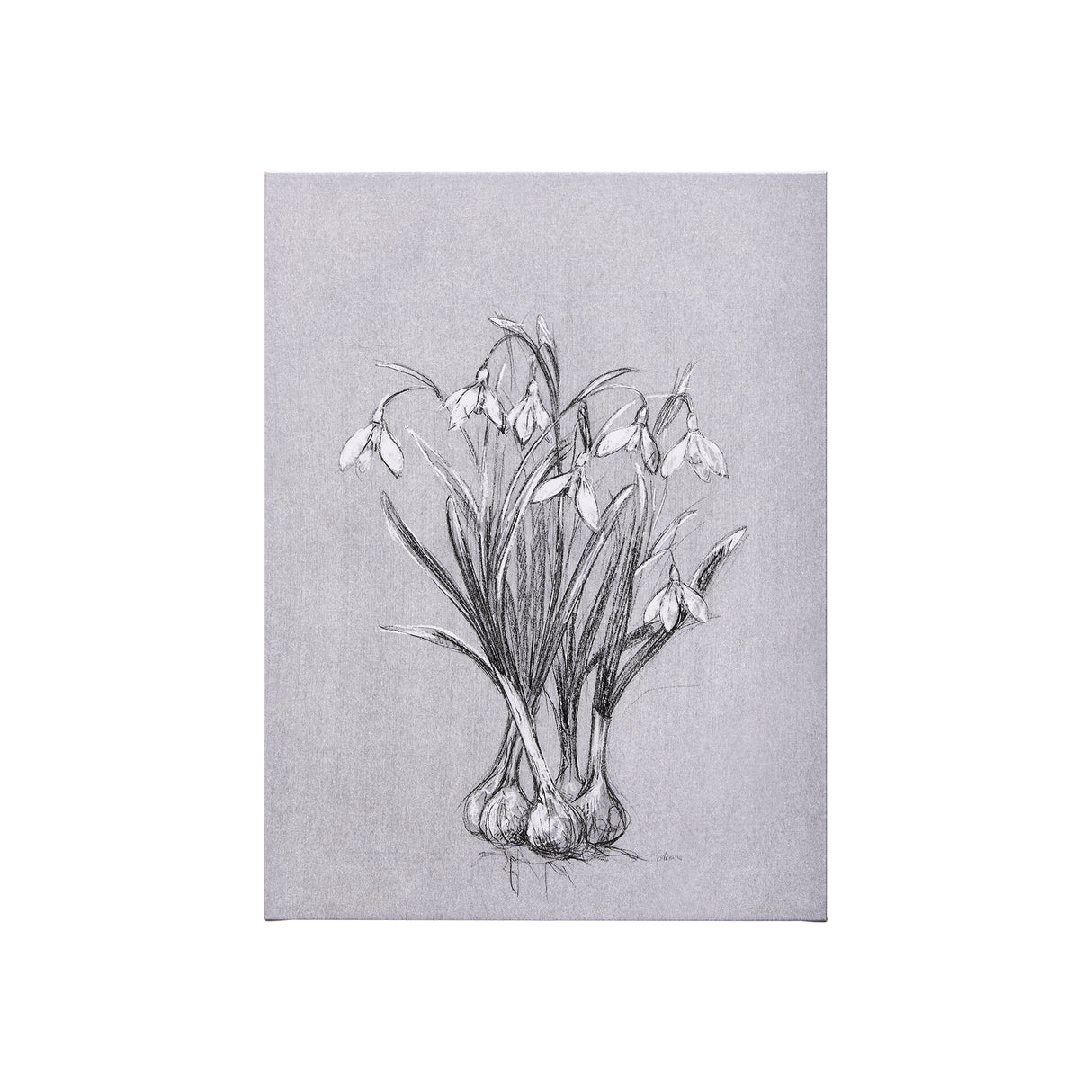 Botanical sketches VI (Grey) by Mercana Studio a Hand Embellished Textured Canvas from Mercana - Luna Furniture