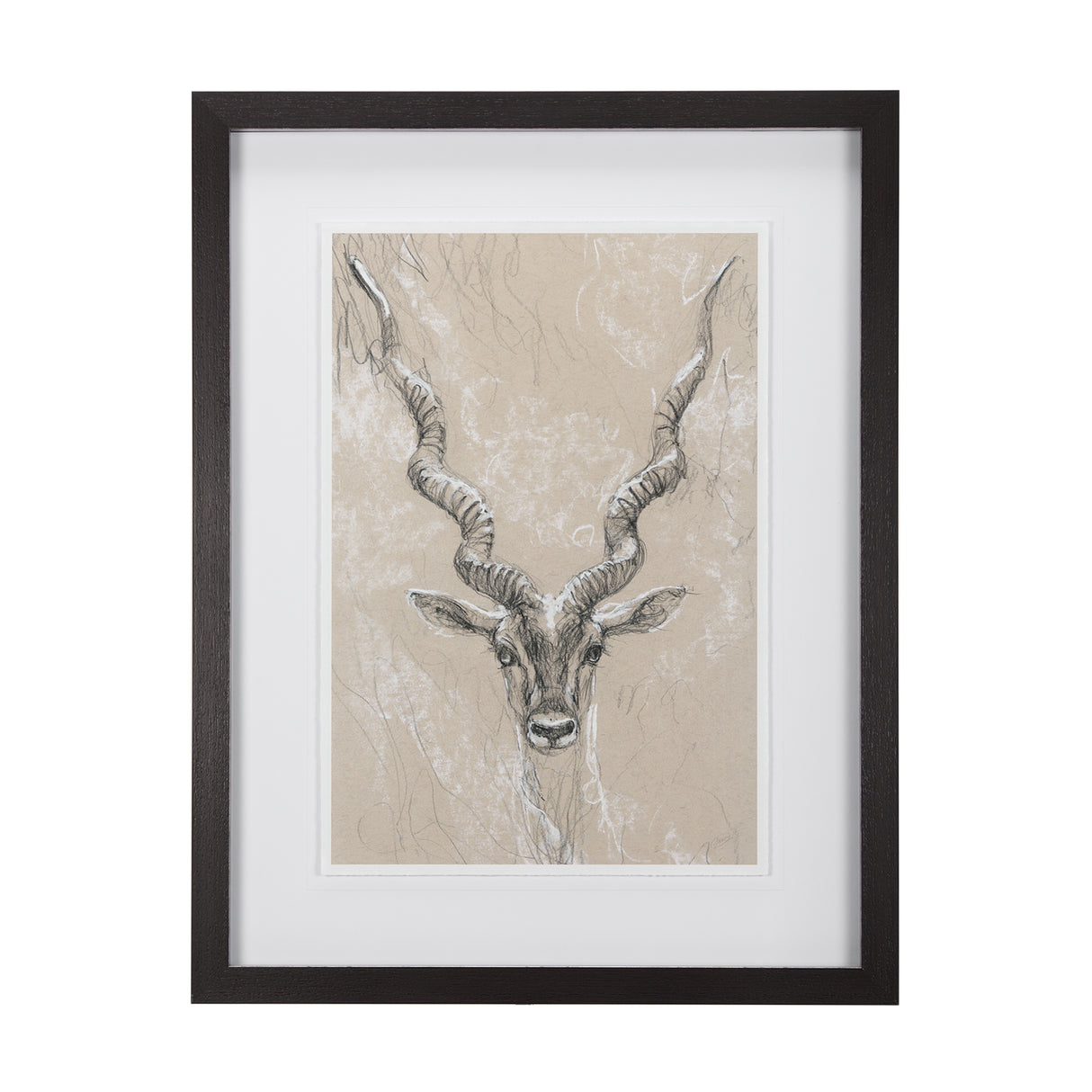 Sketch of Animal III (Antelope) Mercana Studio Hand Embellished Framed Art Print Matted under Glass from Mercana - Luna Furniture