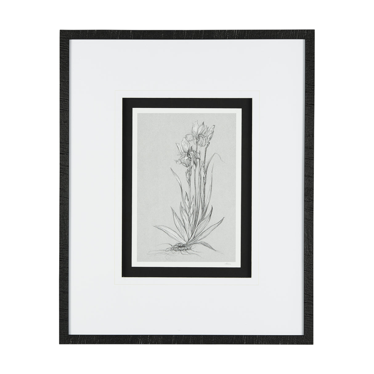 Botanical sketches IV (Grey) by Mercana Studio Hand Embellished Framed Art Print Matted under Glass from Mercana - Luna Furniture