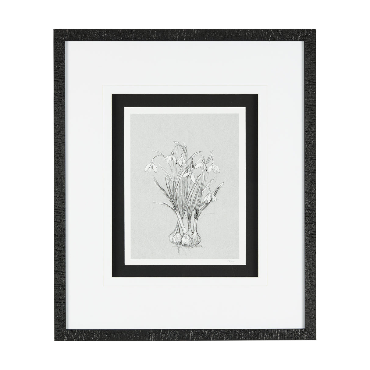 Botanical sketches VI (Grey) by Mercana Studio Hand Embellished Framed Art Print Matted under Glass from Mercana - Luna Furniture
