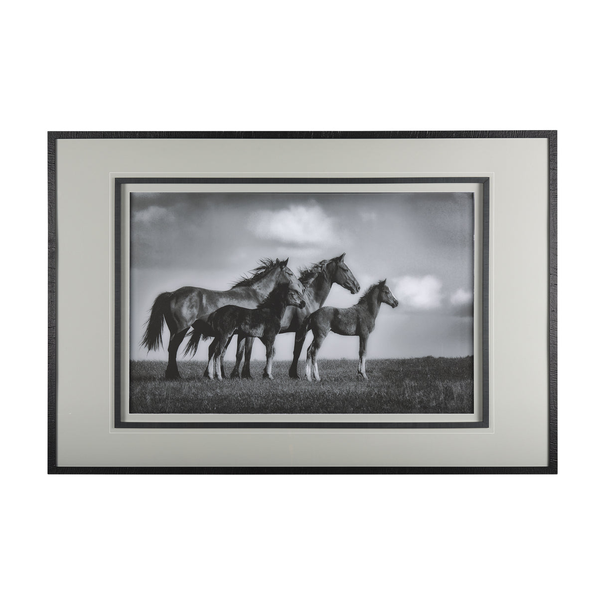 Focused by Mercana Studio a Framed Photo Art Print Matted under Glass from Mercana - Luna Furniture