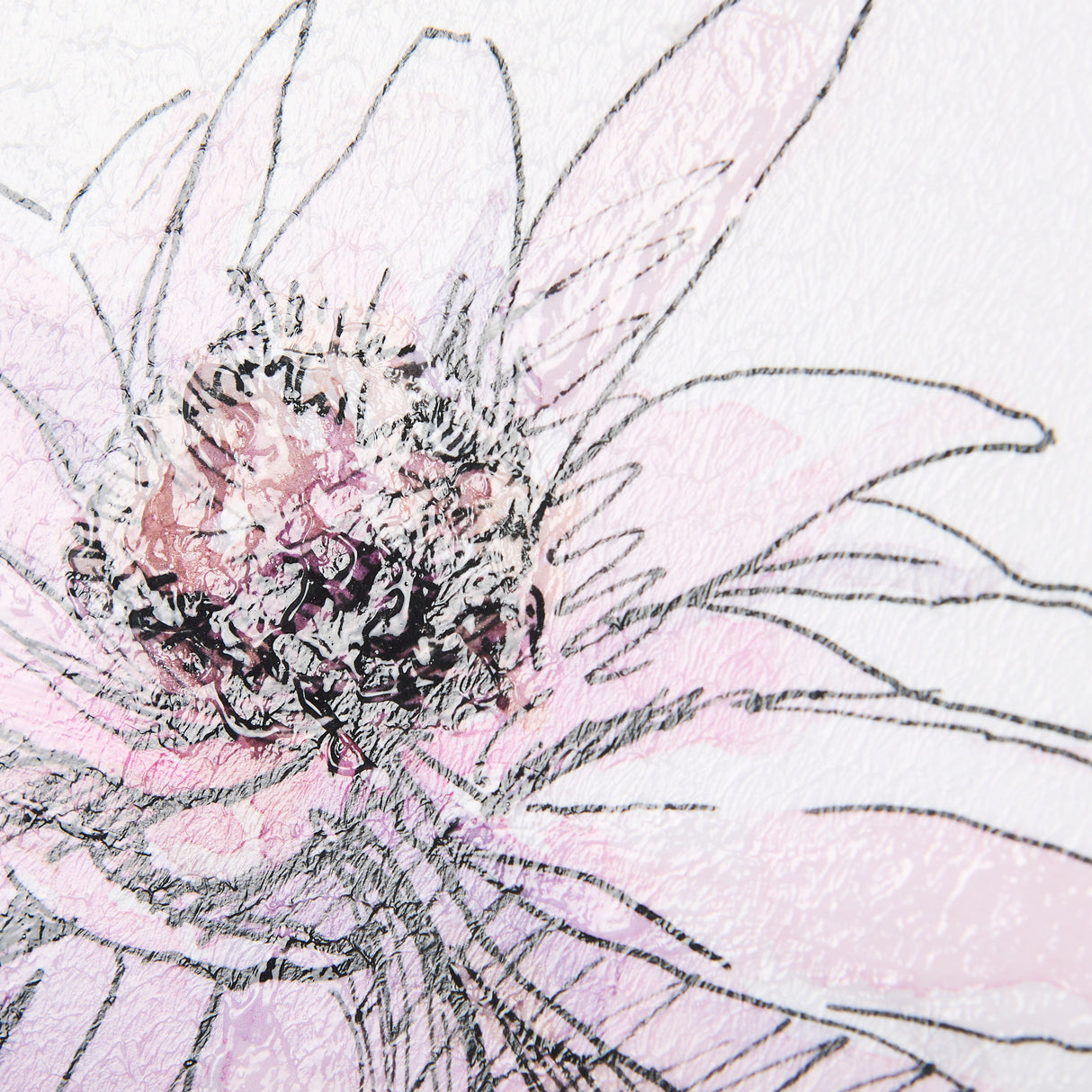 Echinacea I by Mercana Studio a Hand Embellished Textured Framed Art Print from Mercana - Luna Furniture