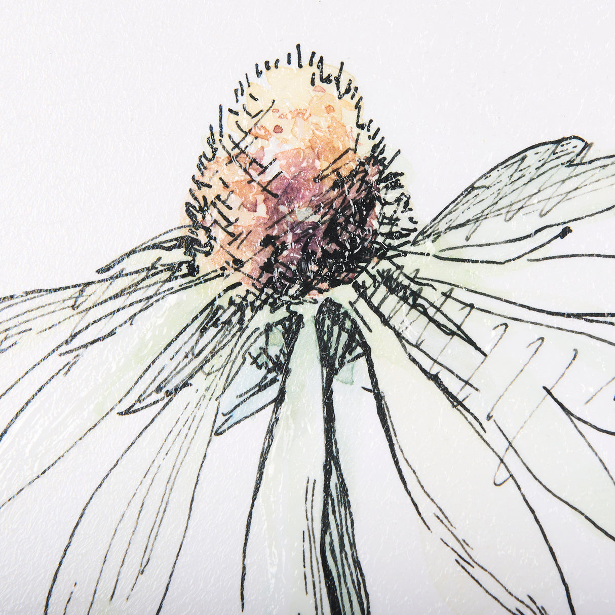 Echinacea I by Mercana Studio a Hand Embellished Textured Framed Art Print from Mercana - Luna Furniture