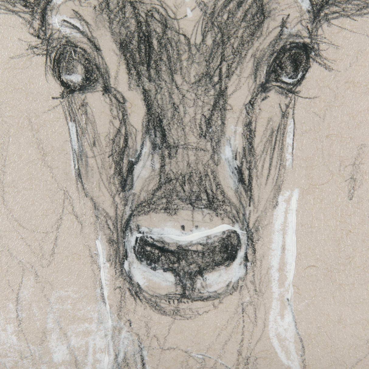Sketch of Animal III (Antelope) Mercana Studio Hand Embellished Framed Art Print Matted under Glass from Mercana - Luna Furniture