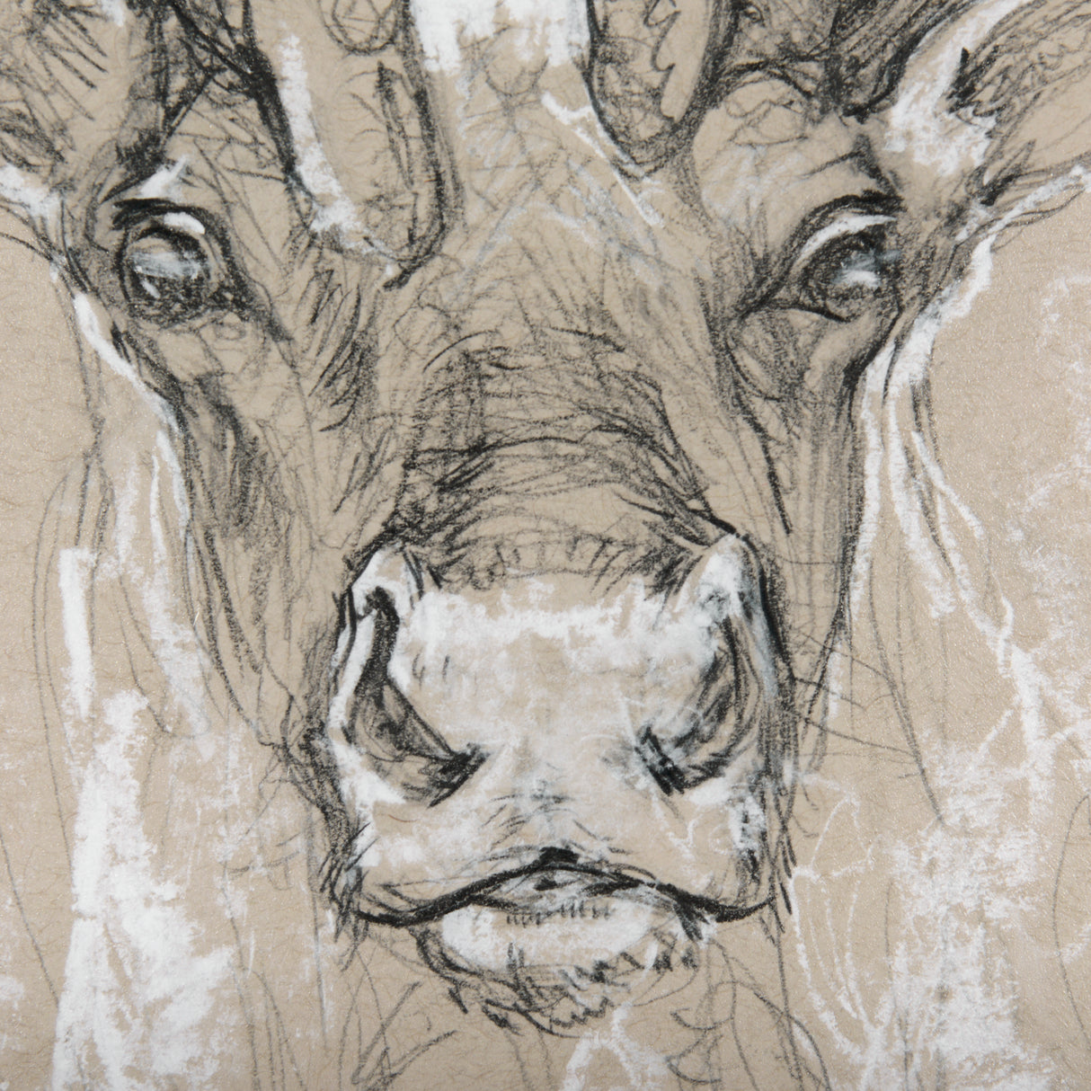 Sketch of animal II (Caribou) by Mercana Studio Hand Embellished Framed Art Print Matted under Glass from Mercana - Luna Furniture