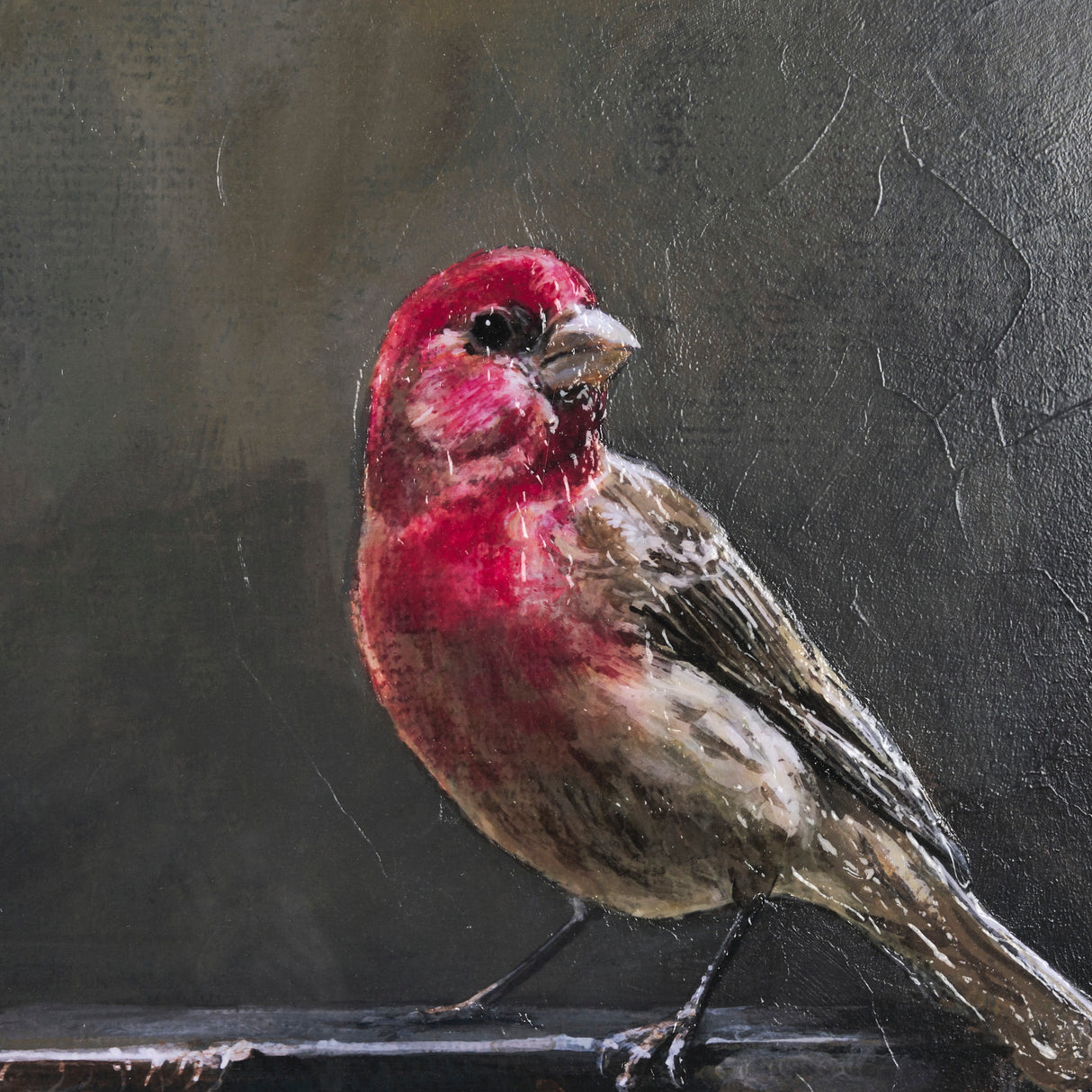Graceful Poise I (House Finch) by Mercana Studio a Hand Embellished Framed Art Print Matted under Gl from Mercana - Luna Furniture