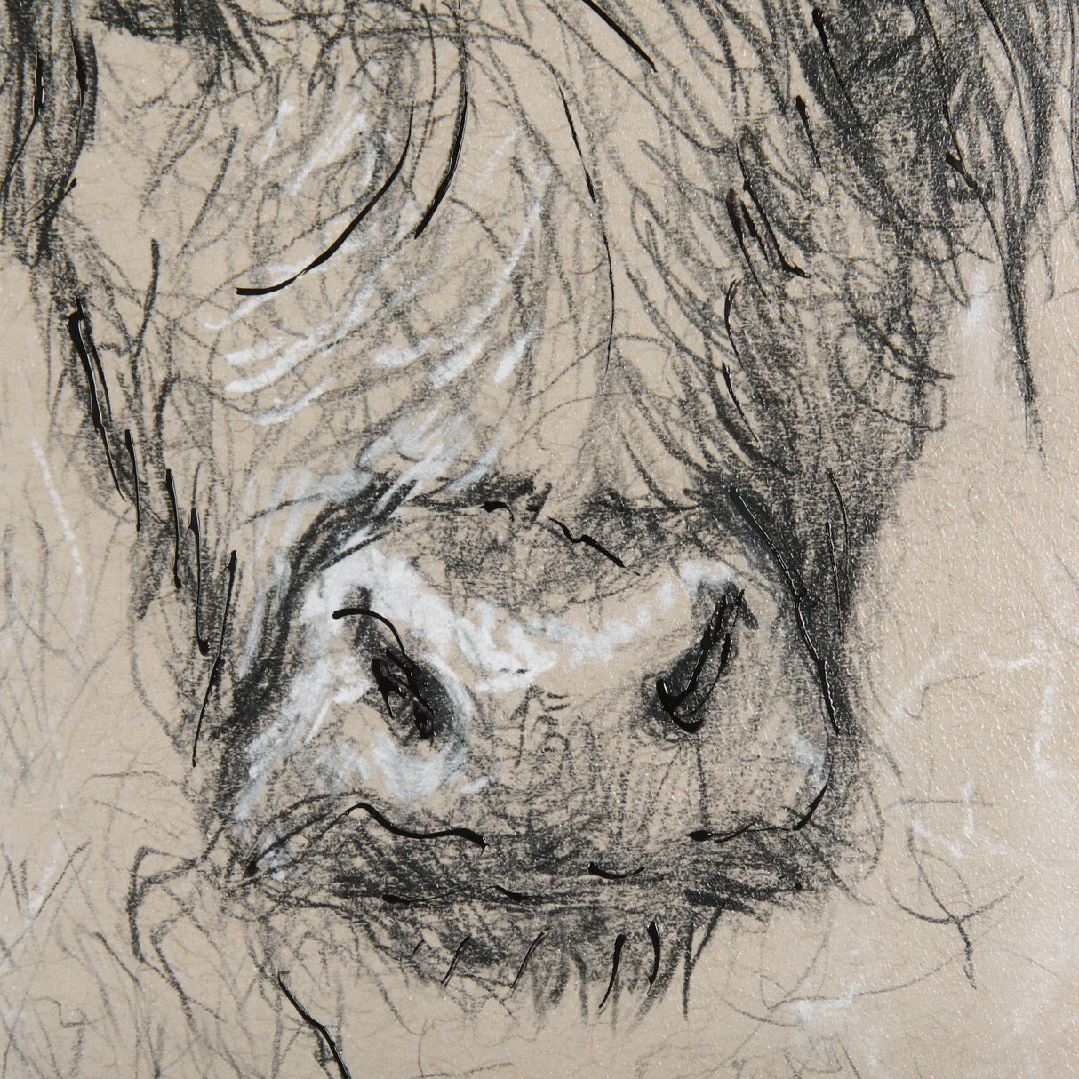 Sketch of Animal VIII by Mercana Studio Hand Embellished Framed Art Print Matted under Glass from Mercana - Luna Furniture