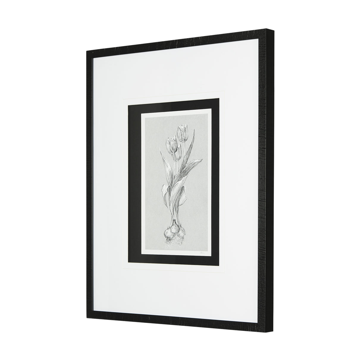 Botanical sketches I (Grey) by Mercana Studio Hand Embellished Framed Art Print Matted under Glass from Mercana - Luna Furniture
