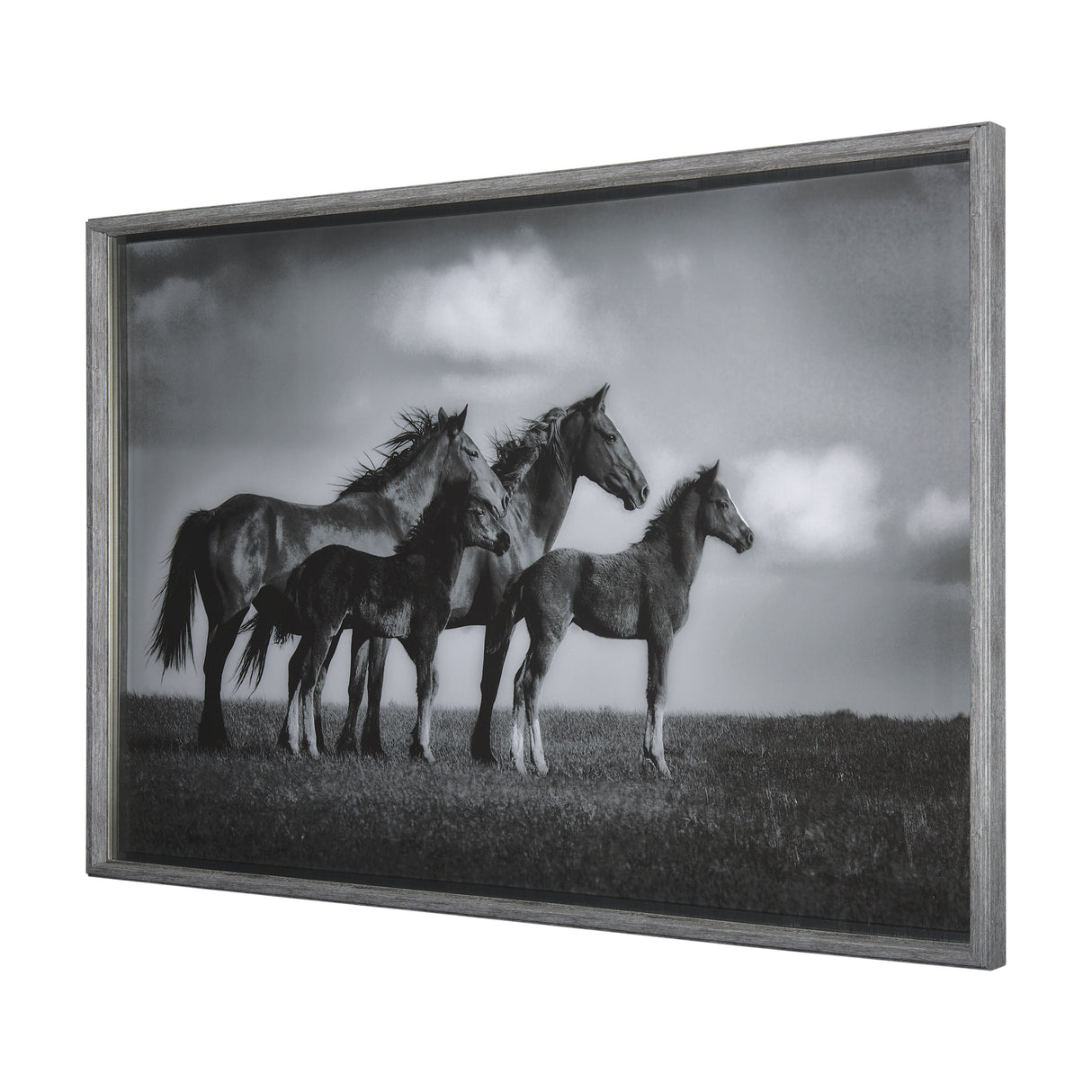 Focused by Mercana Studio a Hand Embellished Textured Framed Photo Art Print Matted under Glass from Mercana - Luna Furniture
