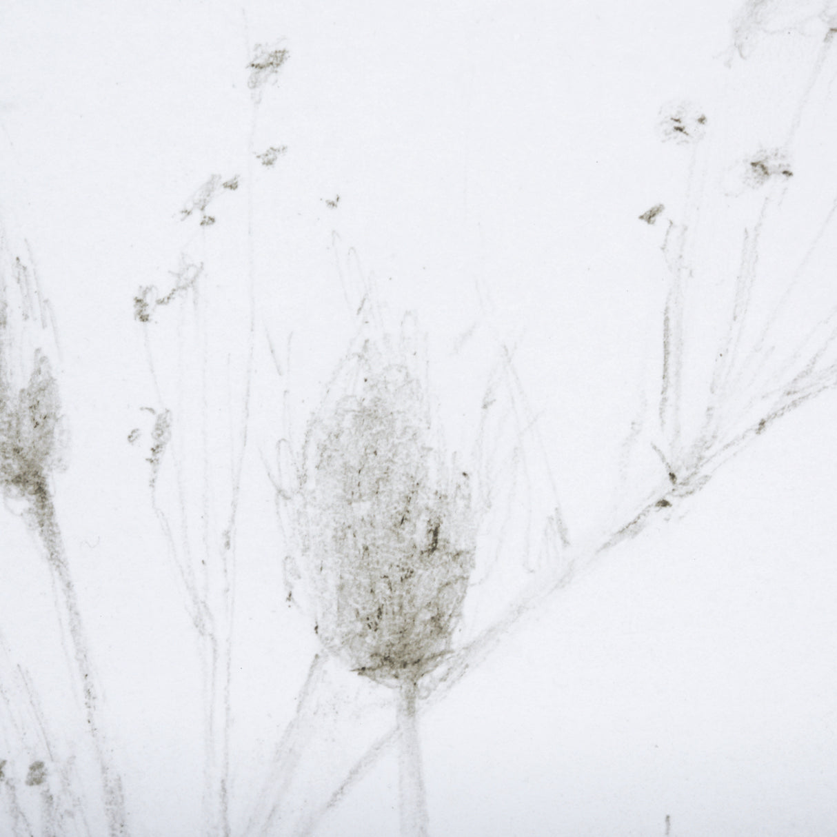 Growing Along The River I by Mercana Studio a Framed Art Print Matted under Glass from Mercana - Luna Furniture