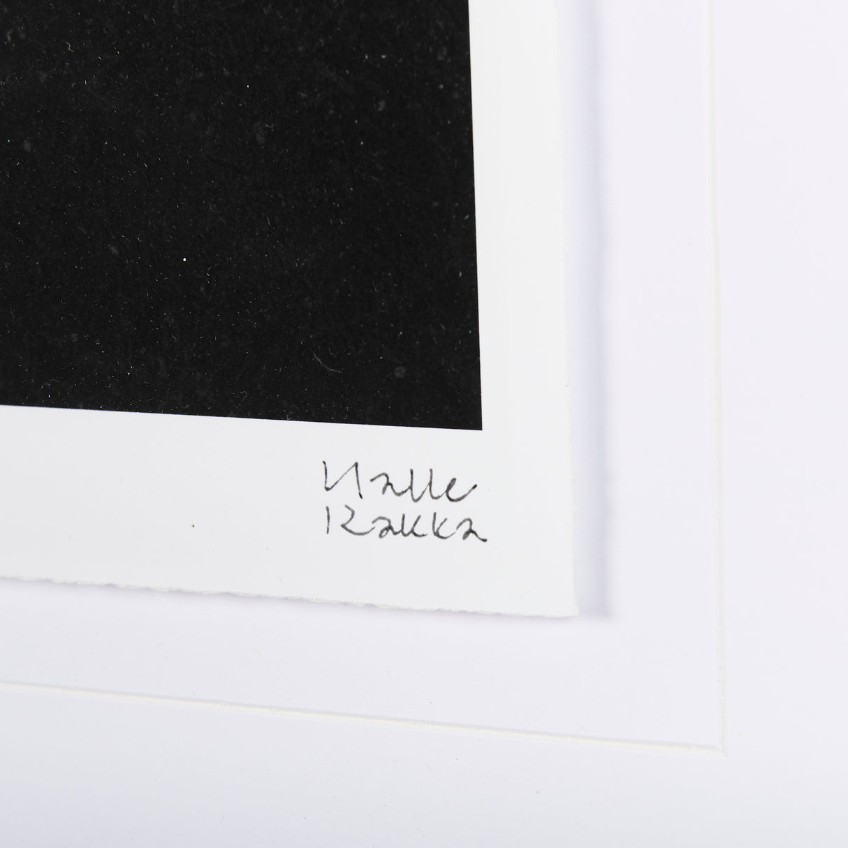 Midnight Flower I by Mercana Studio a Framed Art Print Matted under Glass from Mercana - Luna Furniture