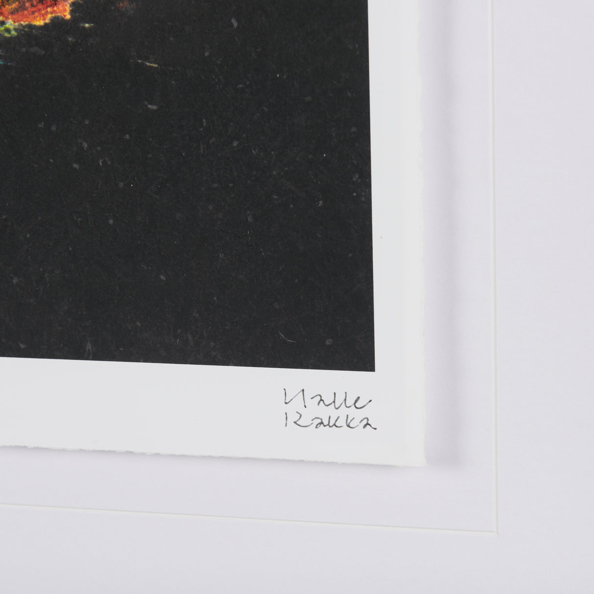 Midnight Flower I by Mercana Studio a Framed Art Print Matted under Glass from Mercana - Luna Furniture