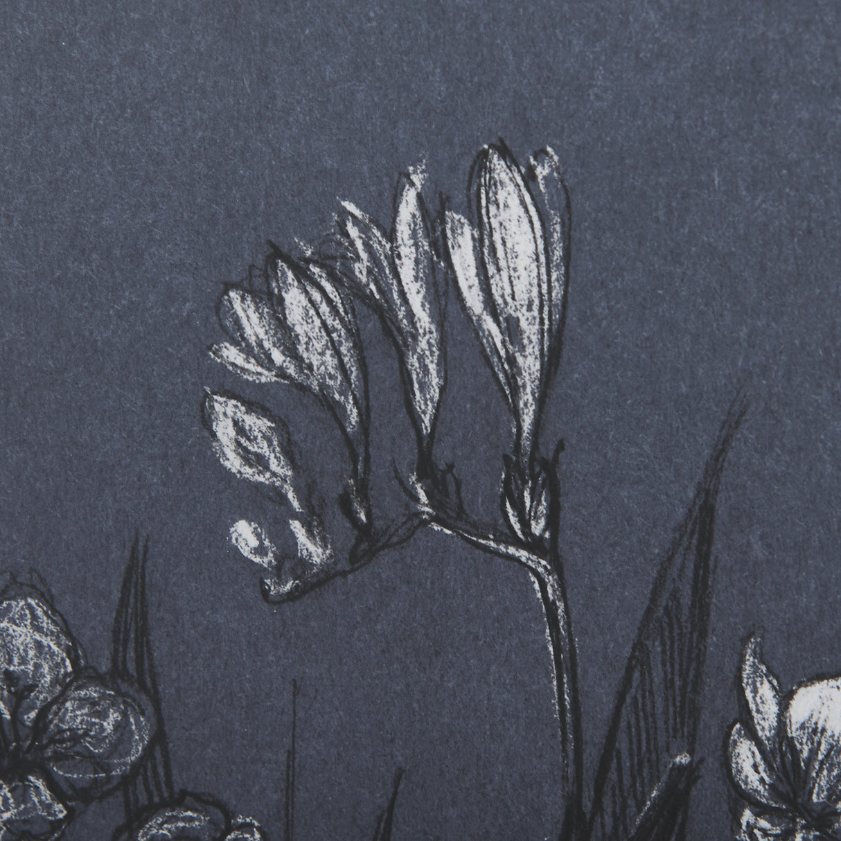 Botanical sketches III (Blue) by Mercana Studio Hand Embellished Framed Art Print Matted under Glass from Mercana - Luna Furniture