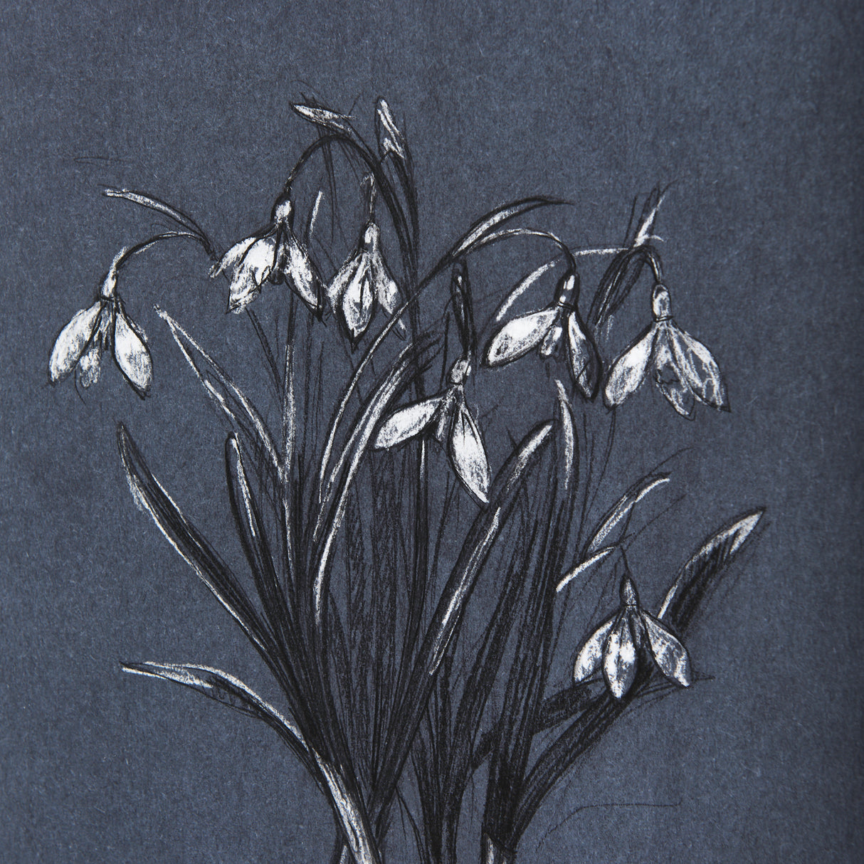 Botanical sketchesVI (Blue) by Mercana Studio Hand Embellished Framed Art Print Matted under Glass from Mercana - Luna Furniture