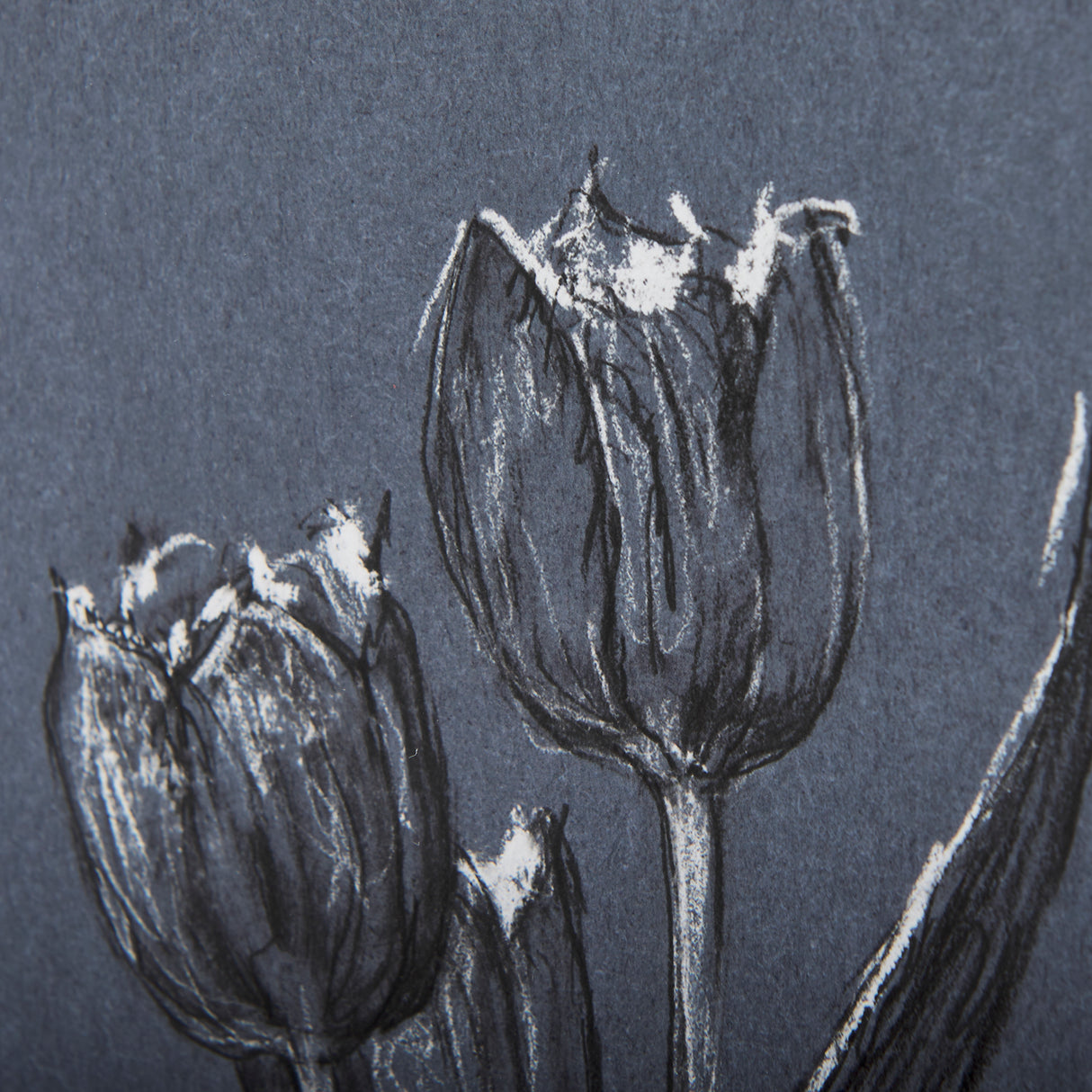 Botanical sketches I (Blue) by Mercana Studio Hand Embellished Framed Art Print Matted under Glass from Mercana - Luna Furniture
