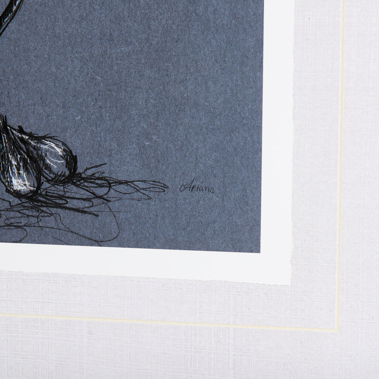 Botanical sketches III (Blue) by Mercana Studio Hand Embellished Framed Art Print Matted under Glass from Mercana - Luna Furniture
