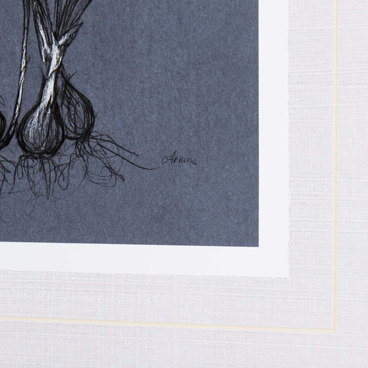 Botanical sketches V (Blue) by Mercana Studio Hand Embellished Framed Art Print Matted under Glass from Mercana - Luna Furniture