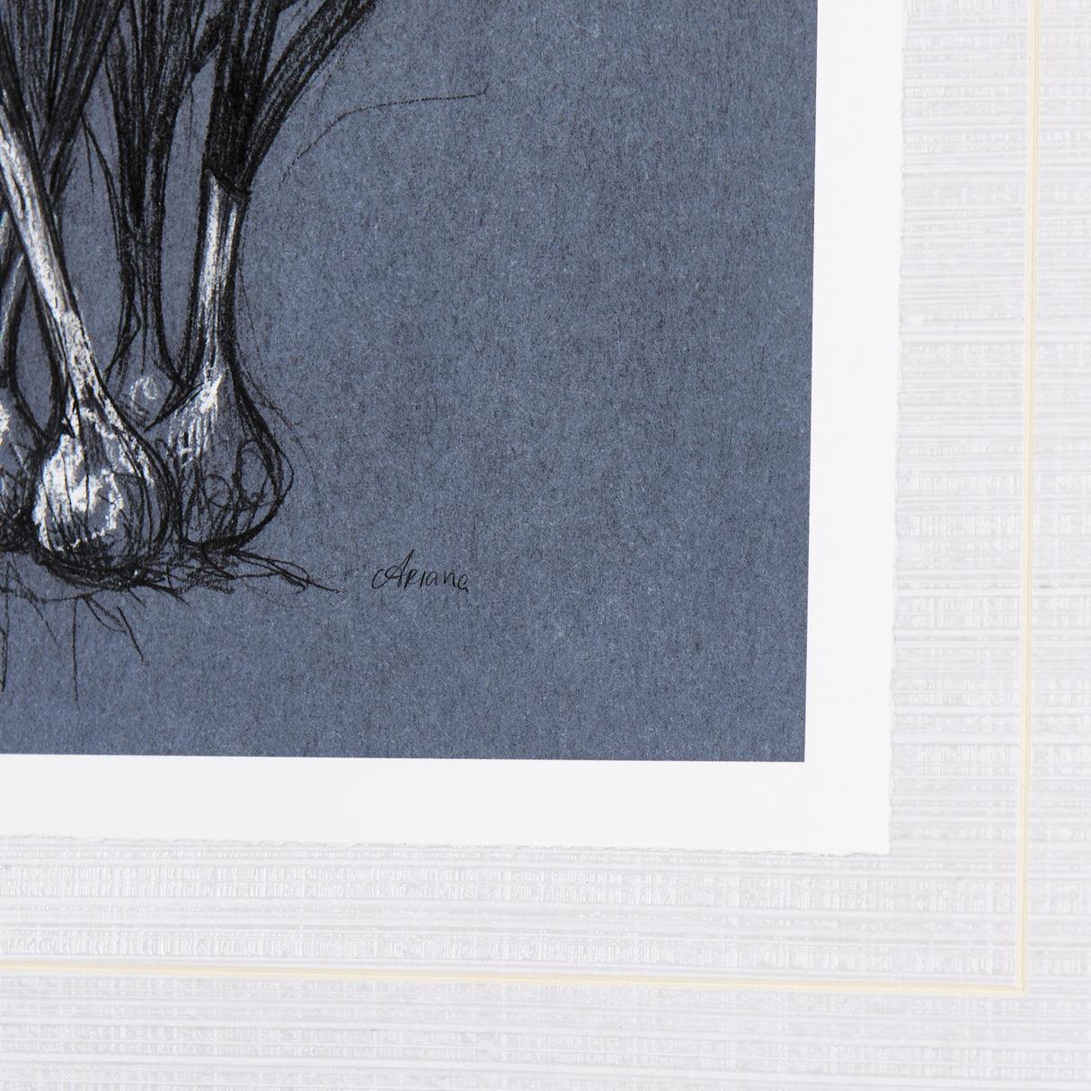 Botanical sketchesVI (Blue) by Mercana Studio Hand Embellished Framed Art Print Matted under Glass from Mercana - Luna Furniture
