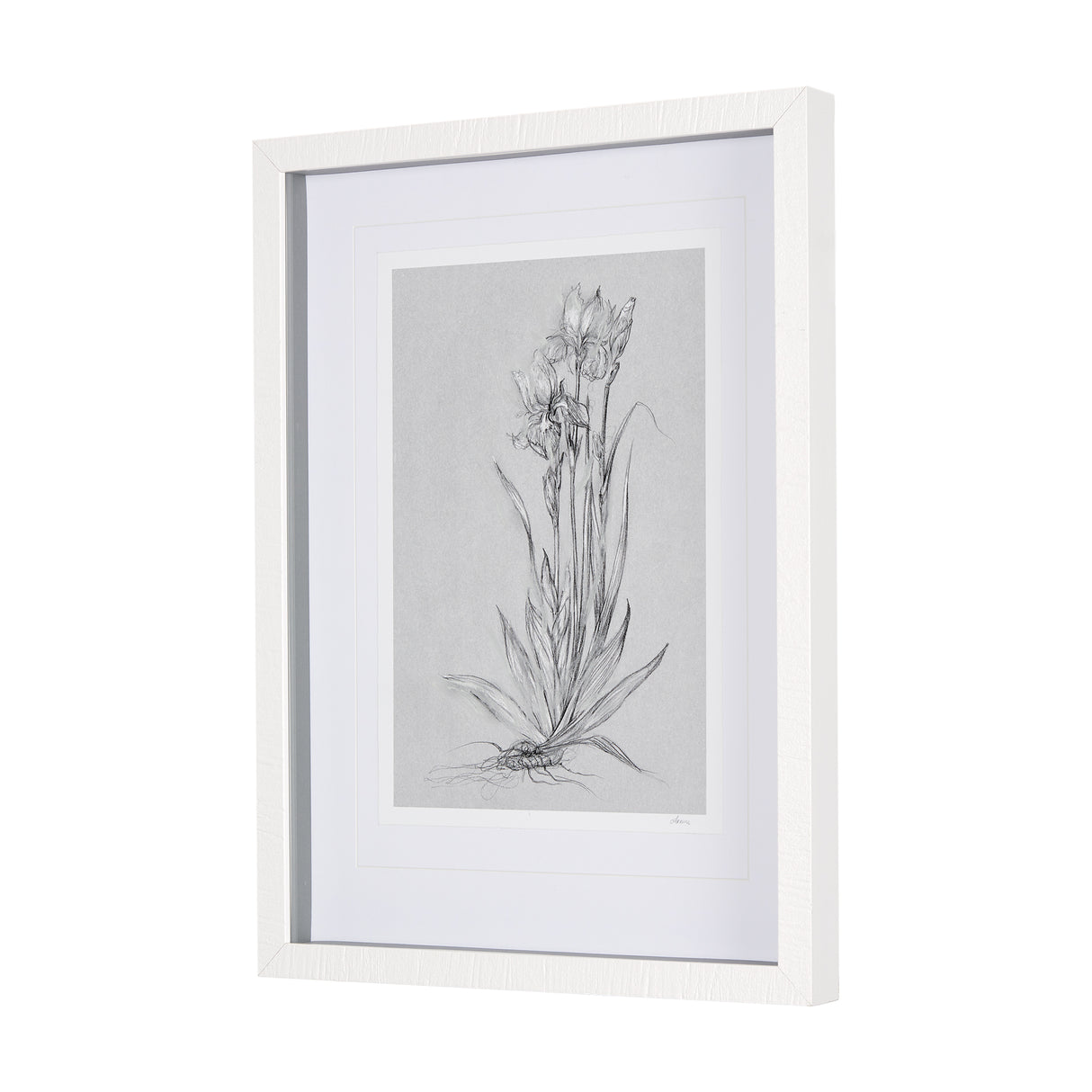 Botanical sketches IV (Grey) by Mercana Studio Hand Embellished Framed Art Print Matted under Glass from Mercana - Luna Furniture