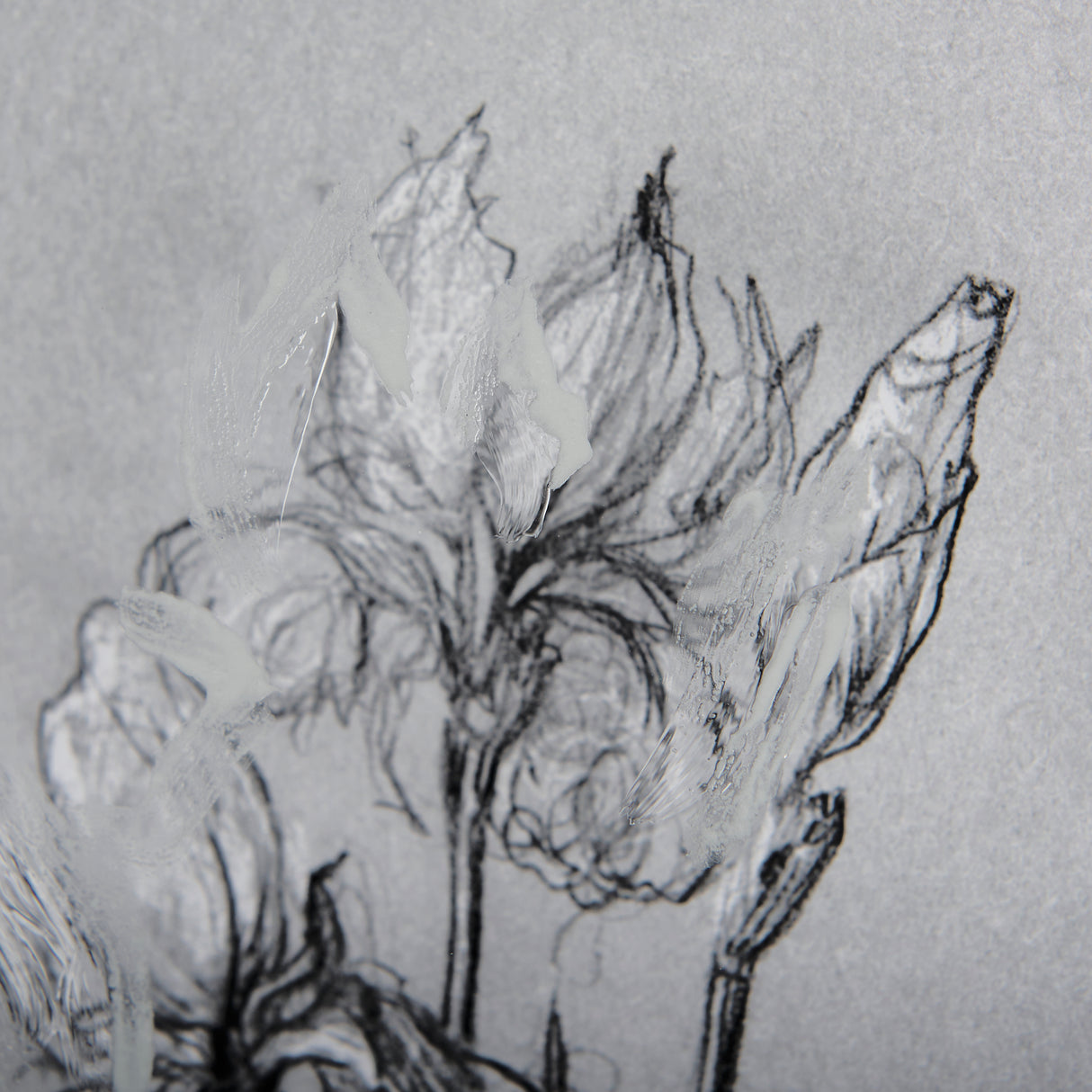 Botanical sketches IV (Grey) by Mercana Studio Hand Embellished Framed Art Print Matted under Glass from Mercana - Luna Furniture