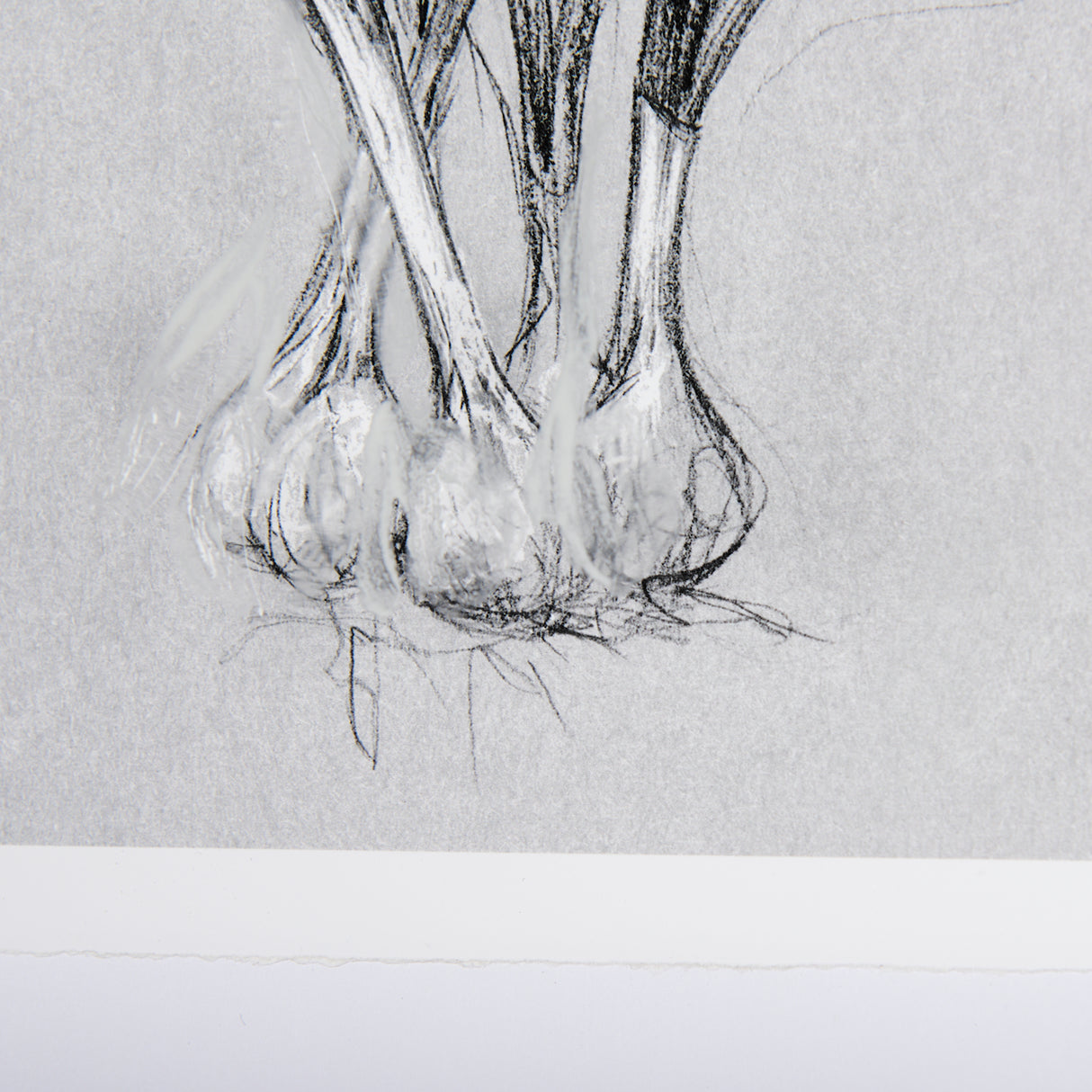 Botanical sketches VI (Grey) by Mercana Studio Hand Embellished Framed Art Print Matted under Glass from Mercana - Luna Furniture