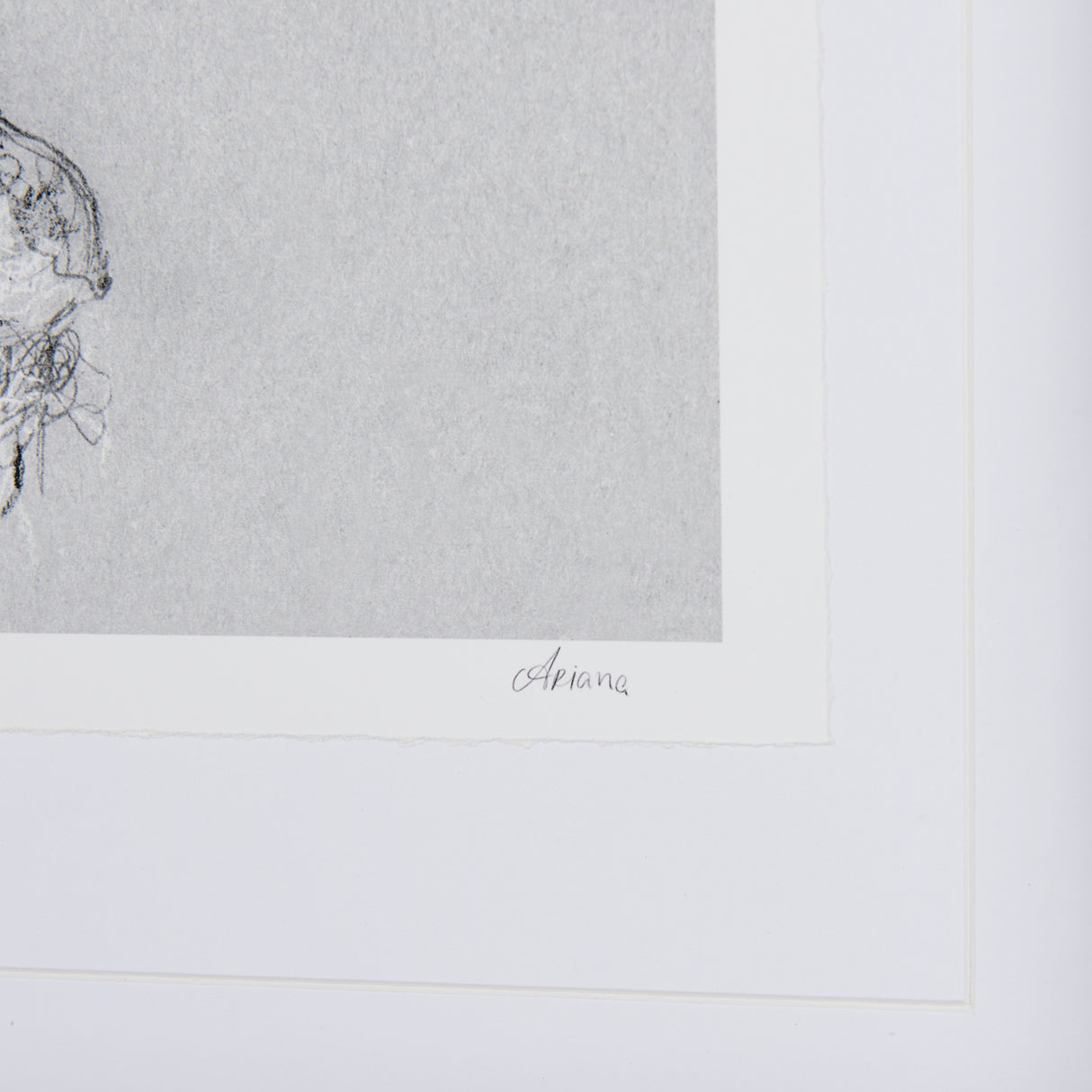 Botanical sketches I (Grey) by Mercana Studio Hand Embellished Framed Art Print Matted under Glass from Mercana - Luna Furniture