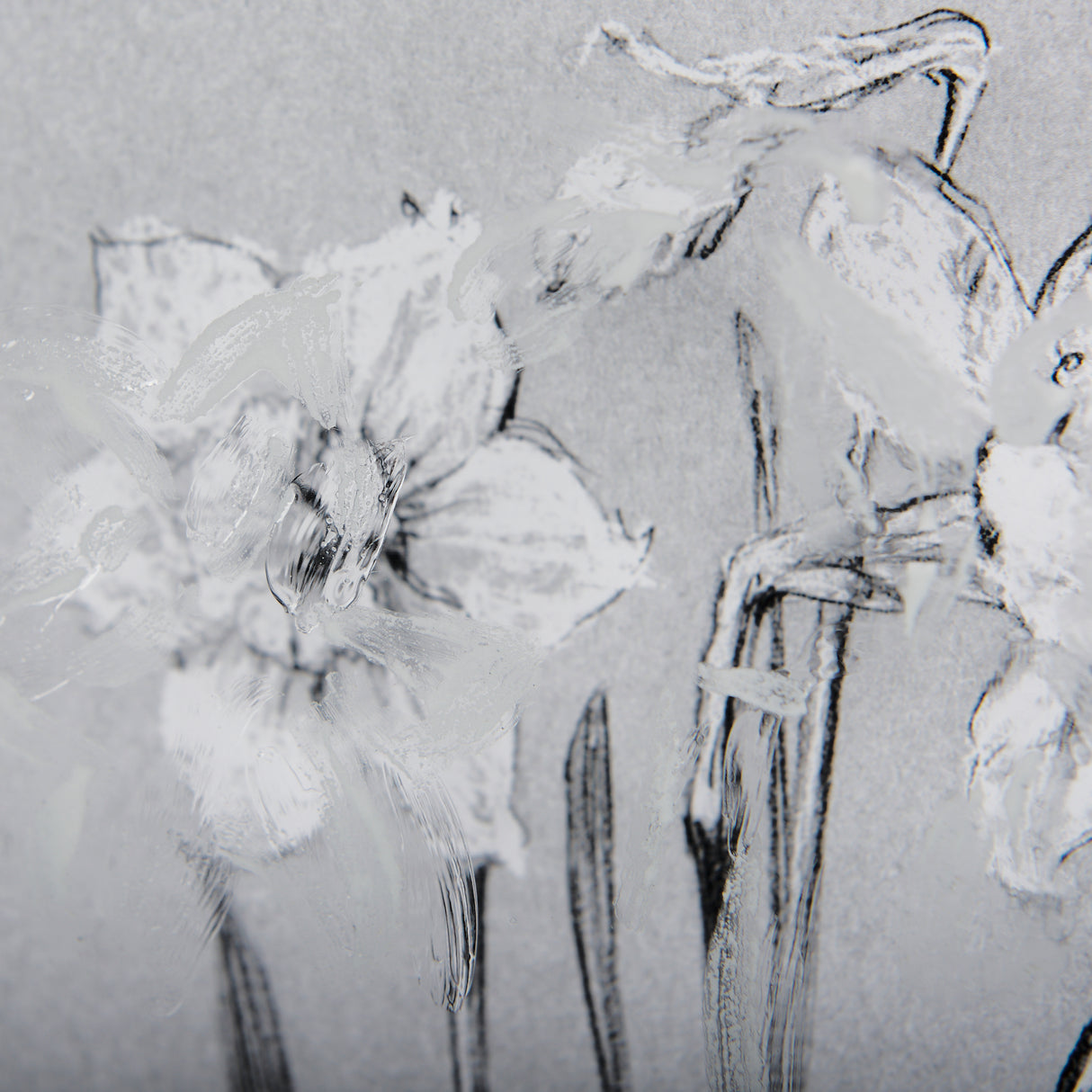 Botanical sketches II (Grey) by Mercana Studio Hand Embellished Framed Art Print Matted under Glass from Mercana - Luna Furniture