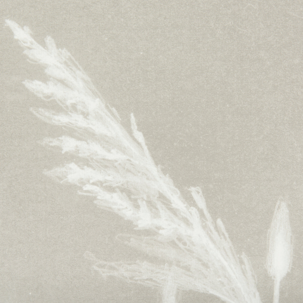 Growing Along The River IV by Mercana Studio Framed Matted under Glass from Mercana - Luna Furniture