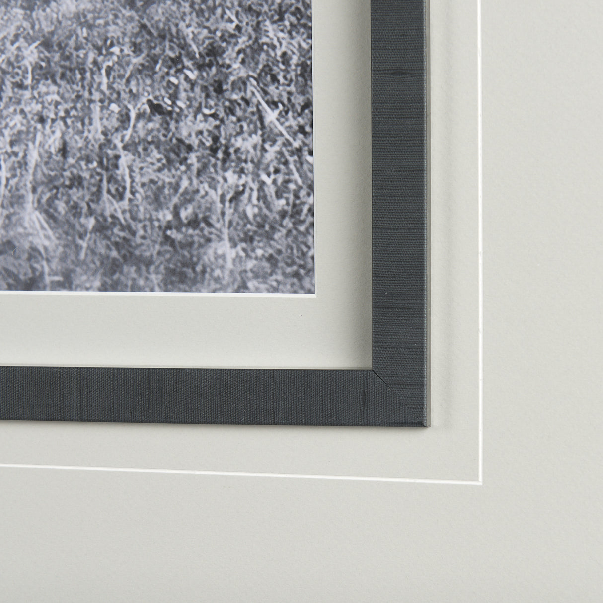 Babies on Board by Mercana Studio a Framed Photo Art Print Matted under Glass from Mercana - Luna Furniture