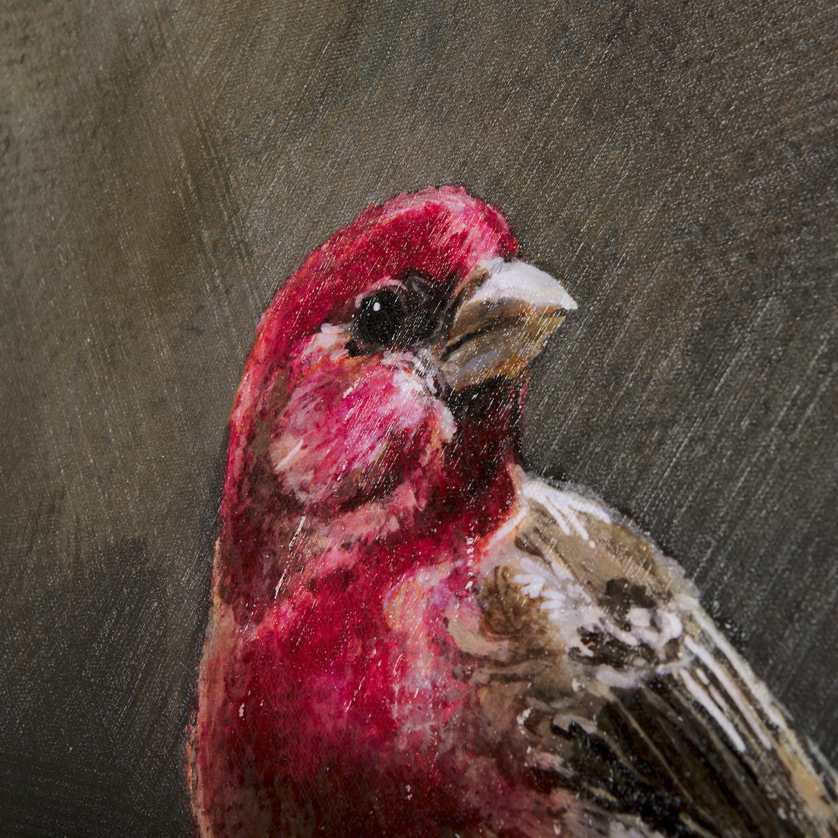Graceful Poise I (House Finch)(30 x 40) from Mercana - Luna Furniture