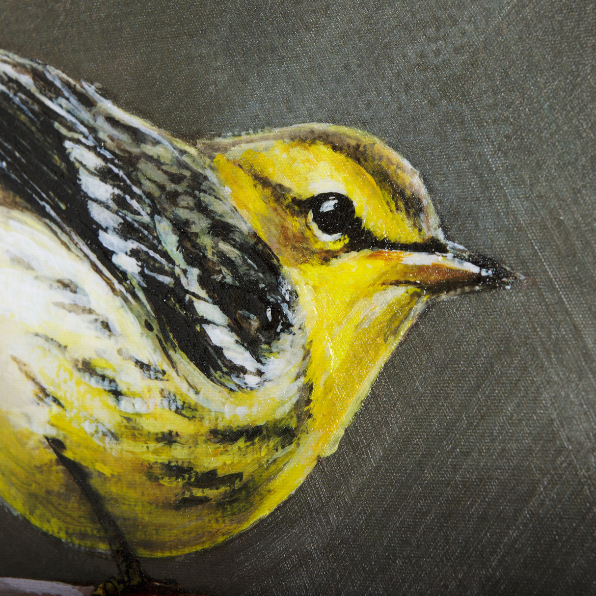 Graceful Poise III (Bay-Breasted Warbler)(42 x 56) from Mercana - Luna Furniture