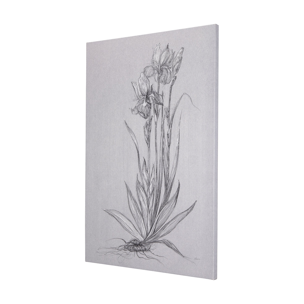 Botanical sketches IV (Grey) by Mercana Studio a Hand Embellished Textured Canvas from Mercana - Luna Furniture
