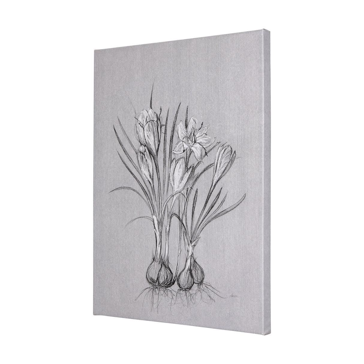 Botanical sketches V (Grey) by Mercana Studio a Hand Embellished Textured Canvas from Mercana - Luna Furniture