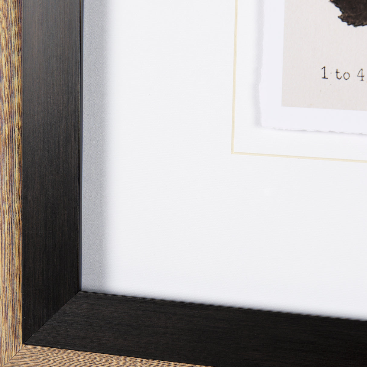 Autumnal Leaves VI by Vision Studio a Framed Art Print Matted under Glass from Mercana - Luna Furniture