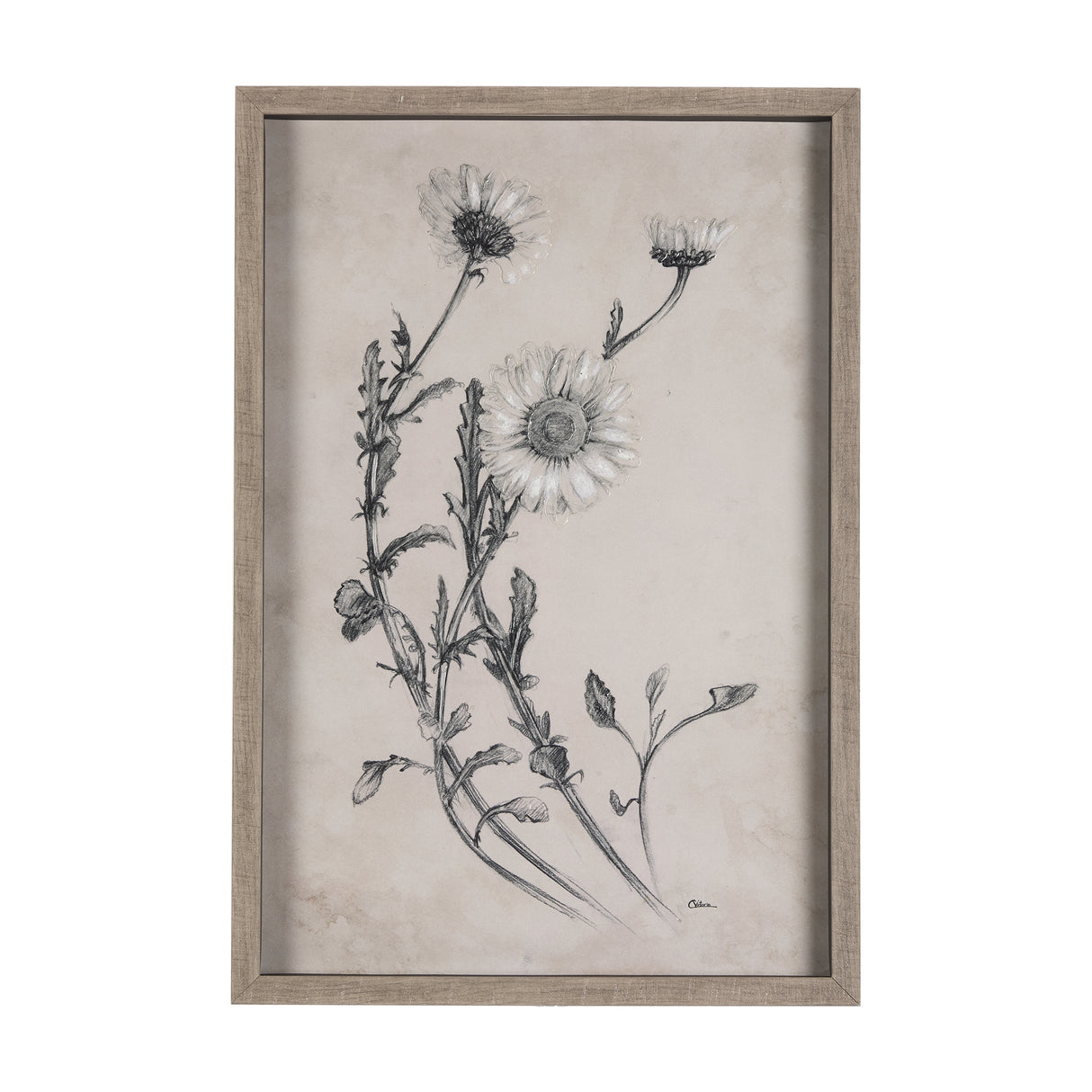 Chamomile Drawing I by Mercana Studio Hand Embellished Textured Framed Art Print Matted under Glass from Mercana - Luna Furniture