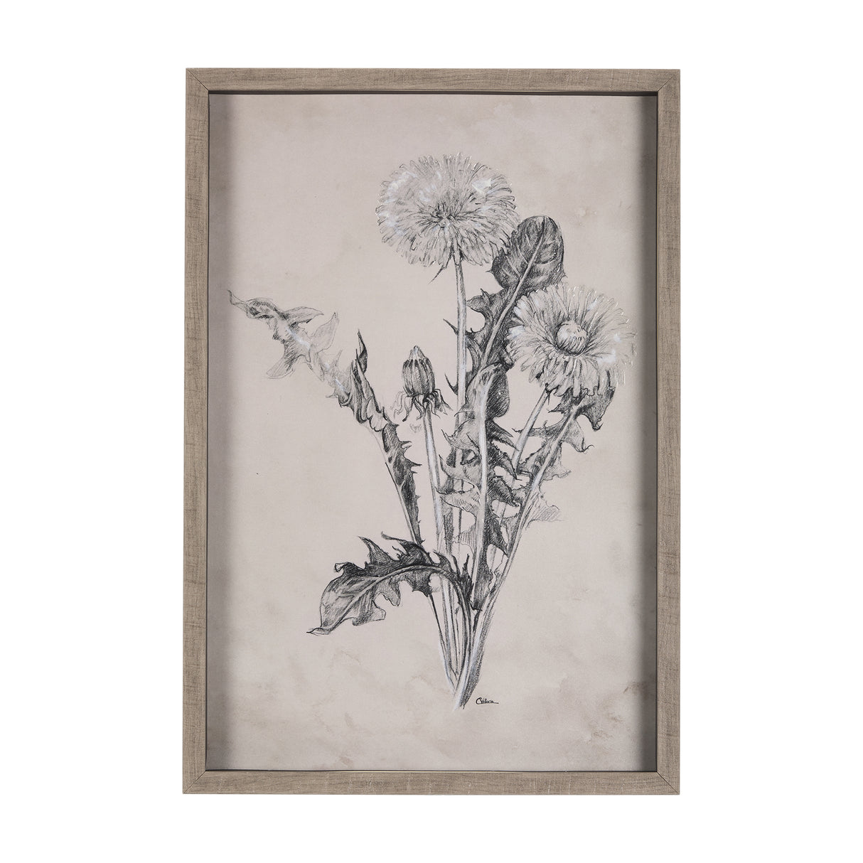 Dandelion Drawing II by Mercana Studio Hand Embellished Textured Framed Art Print Matted under Glass from Mercana - Luna Furniture