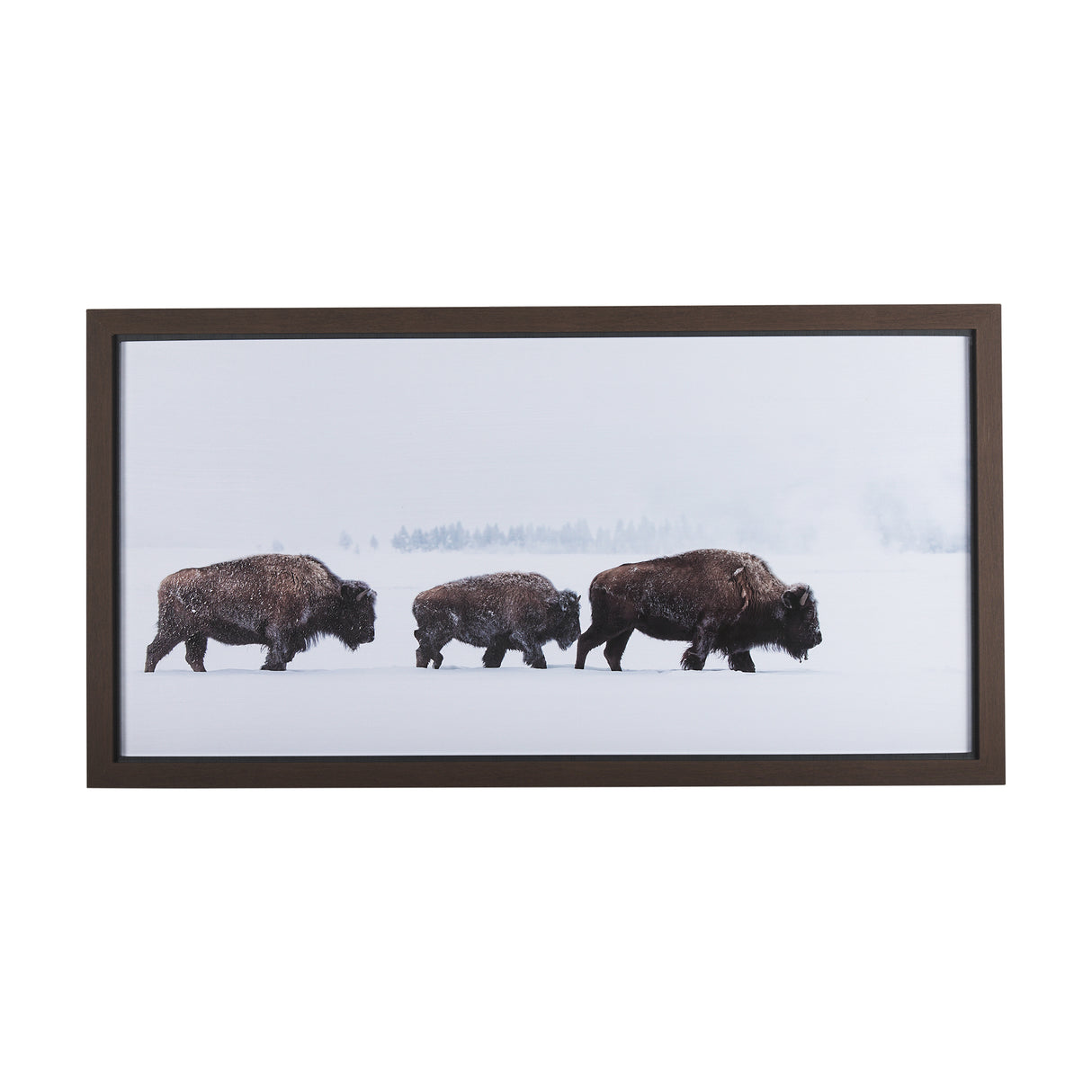 Frozen Trek by Mercana Studio a Hand Embellished Textured Framed Photo Art Print Matted under Glass from Mercana - Luna Furniture