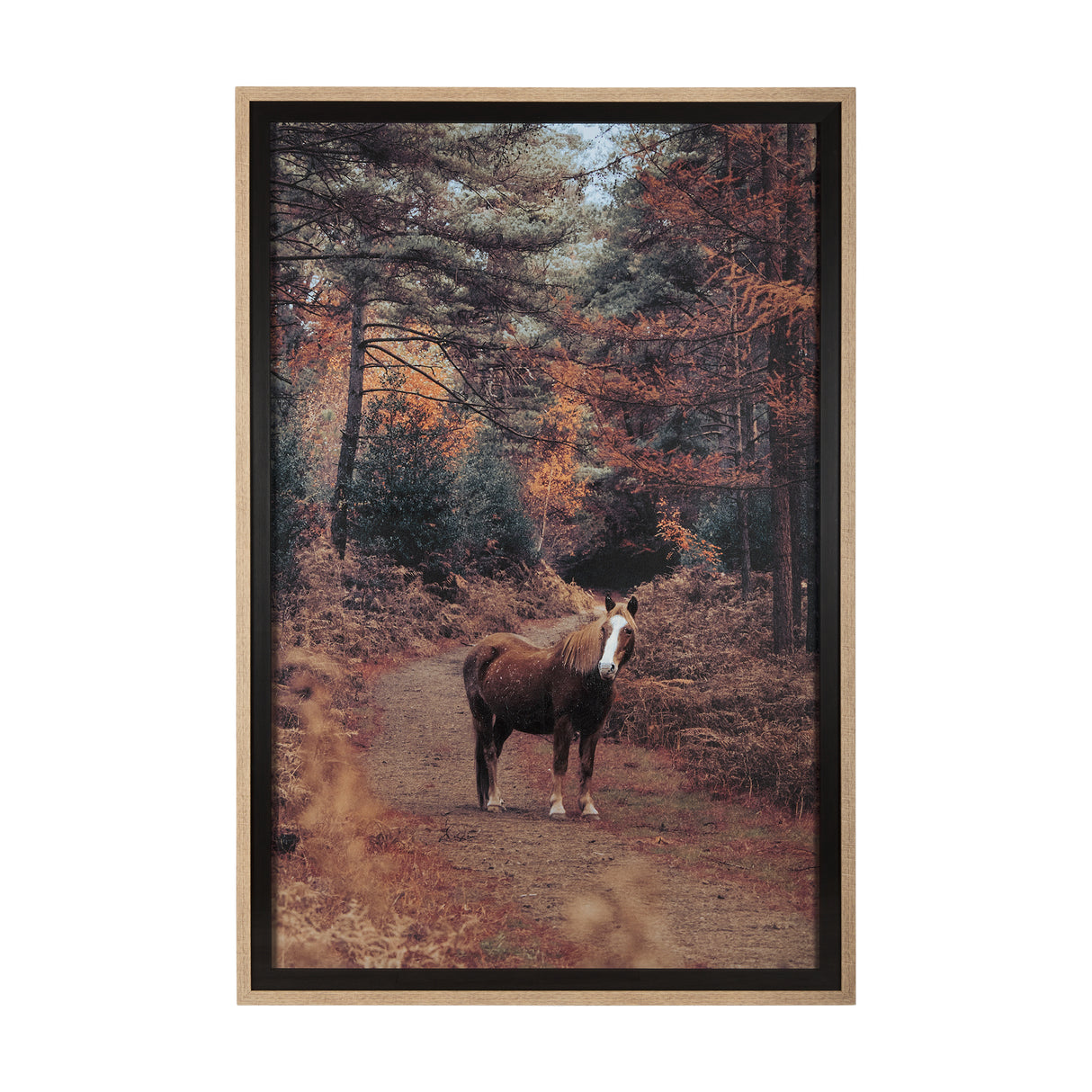 Forest Crossing by Mercana Studio a Hand Embellished Textured Framed Photo Art Print Matted under Gl from Mercana - Luna Furniture