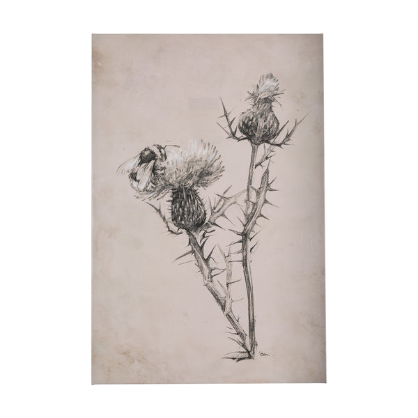Thistle With Bumblebee Drawing IV by Mercana Studio a Hand Embellished Textured Canvas