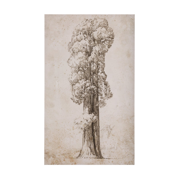Westcoast Tree Drawing I by Mercana Studio a Hand Embellished Textured Canvas