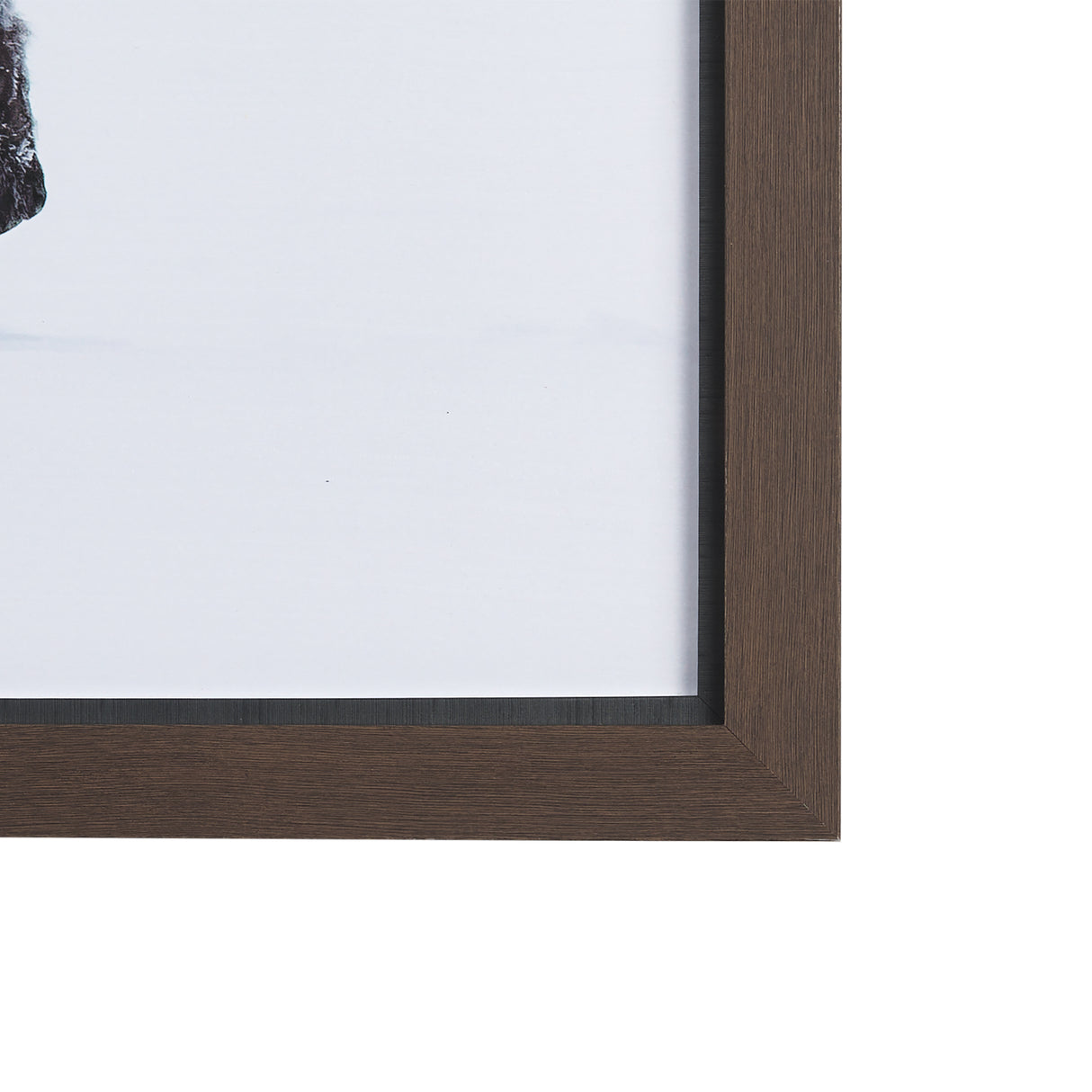 Frozen Trek by Mercana Studio a Hand Embellished Textured Framed Photo Art Print Matted under Glass from Mercana - Luna Furniture