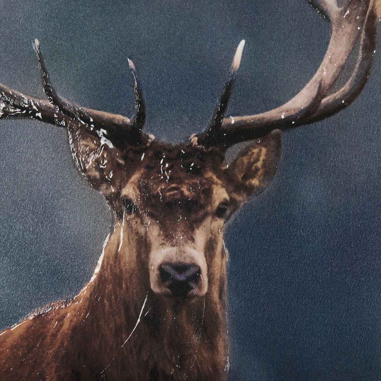Glorious Stag by Mercana Studio a Hand Embellished Textured Framed Photo Art Print Matted under Glas from Mercana - Luna Furniture