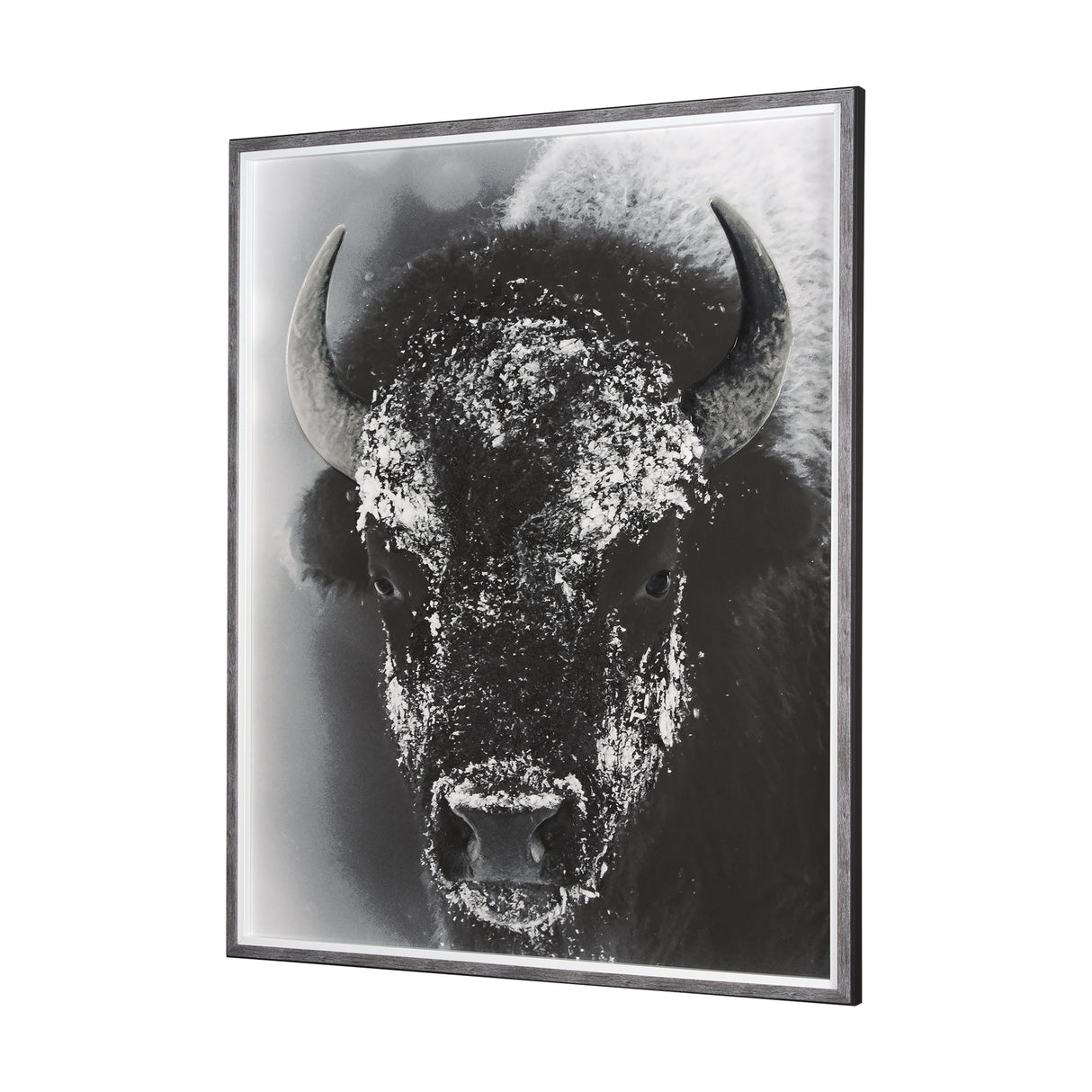 Snow Mask by Mercana Studio a Hand Embellished Textured Framed Photo Art Print Matted under Glass from Mercana - Luna Furniture