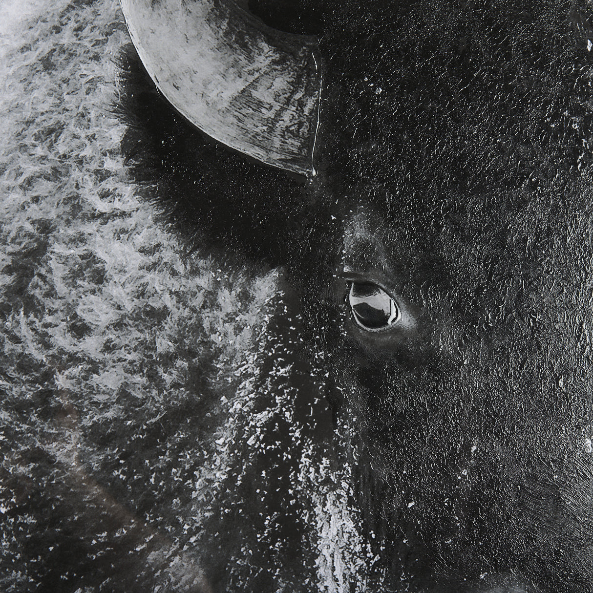 A Struggle by Mercana Studio a Hand Embellished Textured Framed Photo Art Print Matted under Glass from Mercana - Luna Furniture