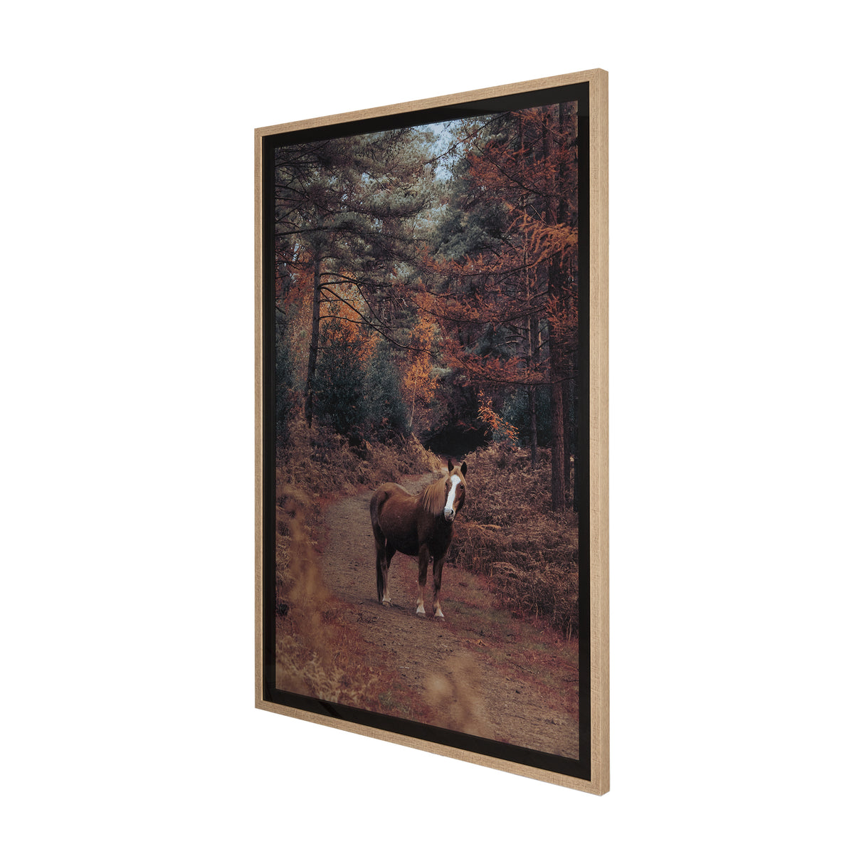 Forest Crossing by Mercana Studio a Hand Embellished Textured Framed Photo Art Print Matted under Gl from Mercana - Luna Furniture